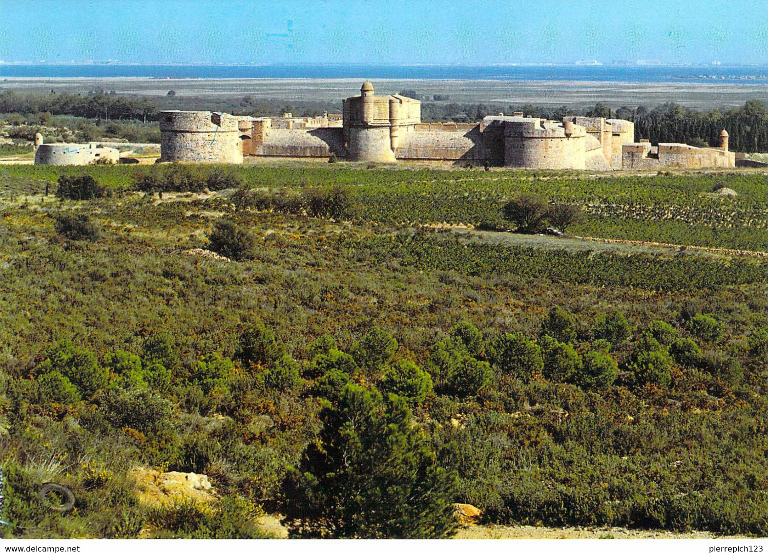 66 - Salses - Château Fort - Vue Générale Vers La Mer - Salses