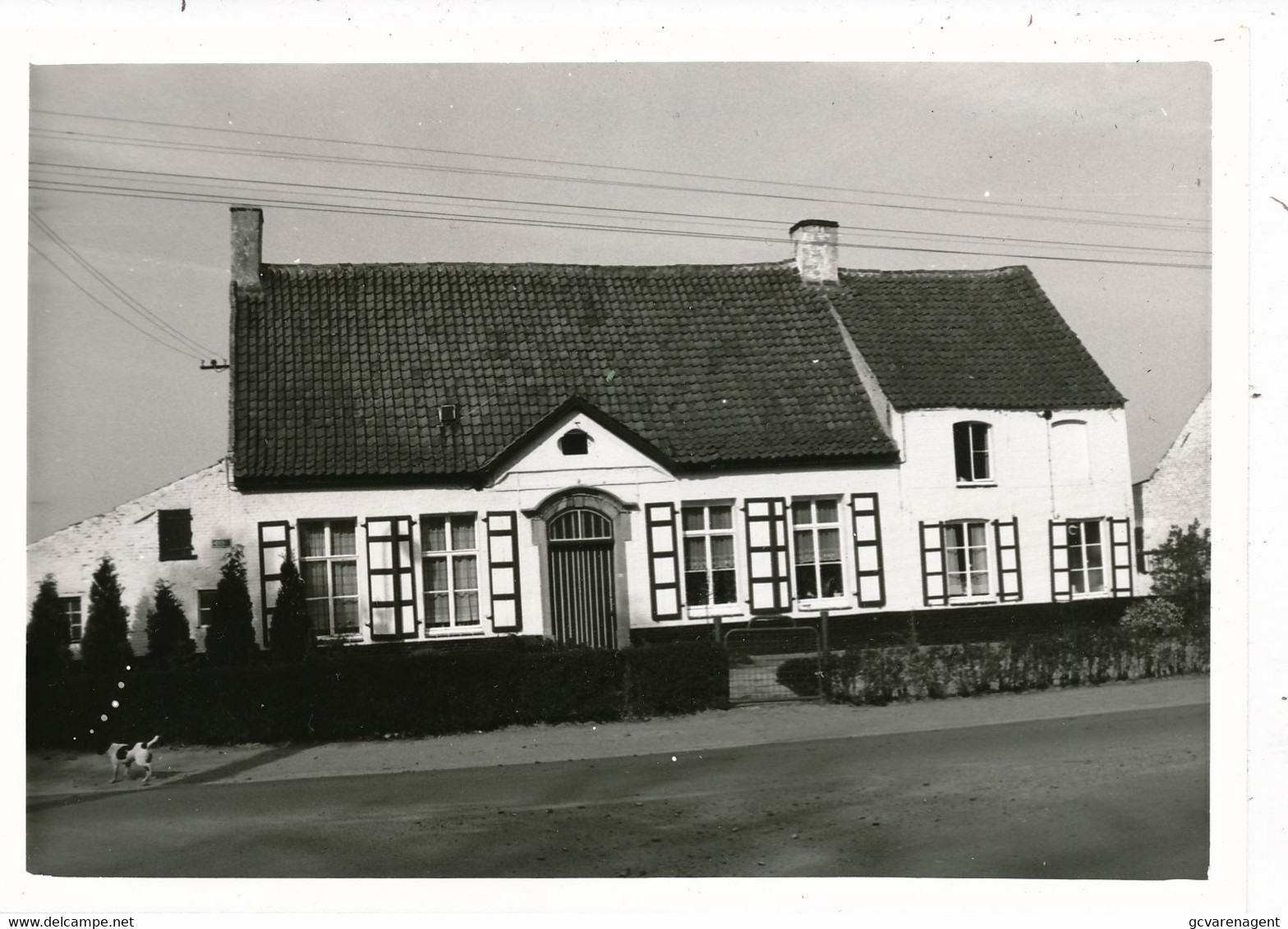 BELLEM MEI 1971    FOTO 12 X 8 CM   SCHEPENHUIS OF WETHUIS      2 SCANS - Aalter