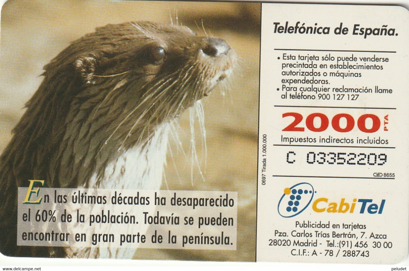 Spain, Espagne, Telefonica Fauna Iberica Nutria - Autres & Non Classés