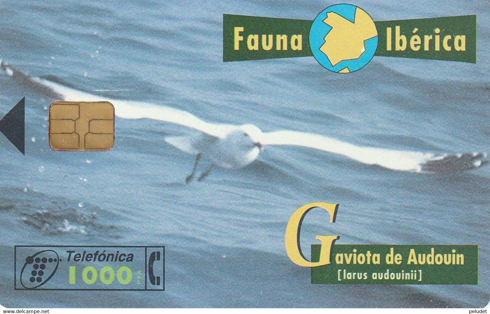 Spain, Espagne, Telefonica Fauna Iberica Gaviota De Audouin 1000 Pta - Otros & Sin Clasificación