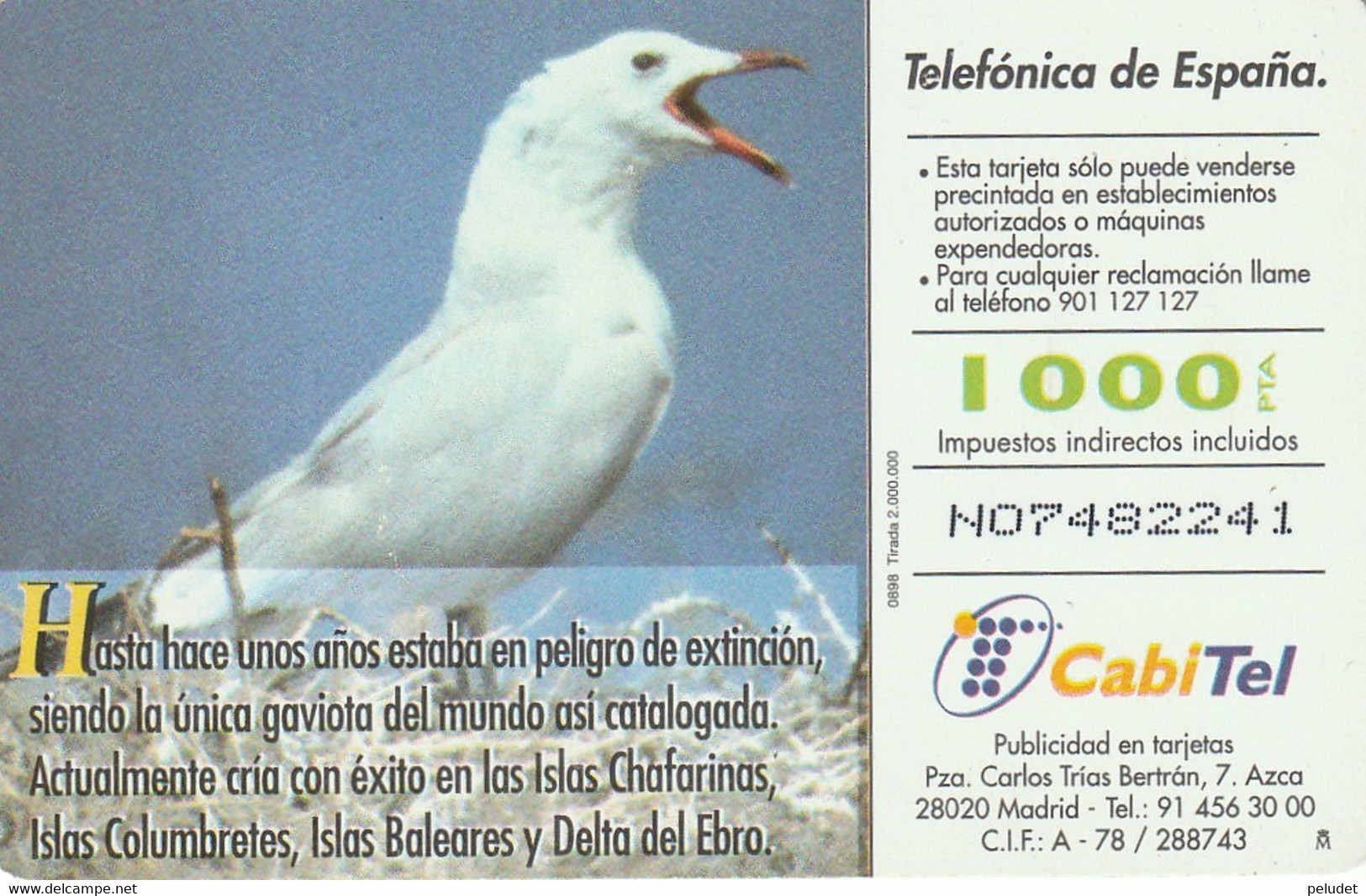 Spain, Espagne, Telefonica Fauna Iberica Gaviota De Audouin 1000 Pta - Otros & Sin Clasificación