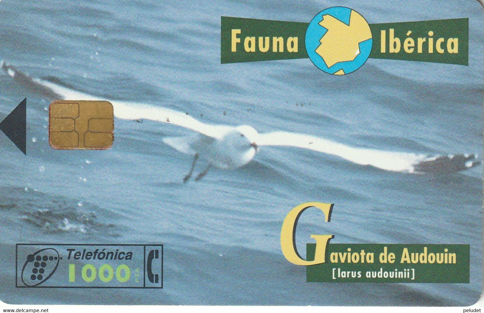Spain, Espagne, Telefonica Fauna Iberica Gaviota De Audouin - Andere & Zonder Classificatie