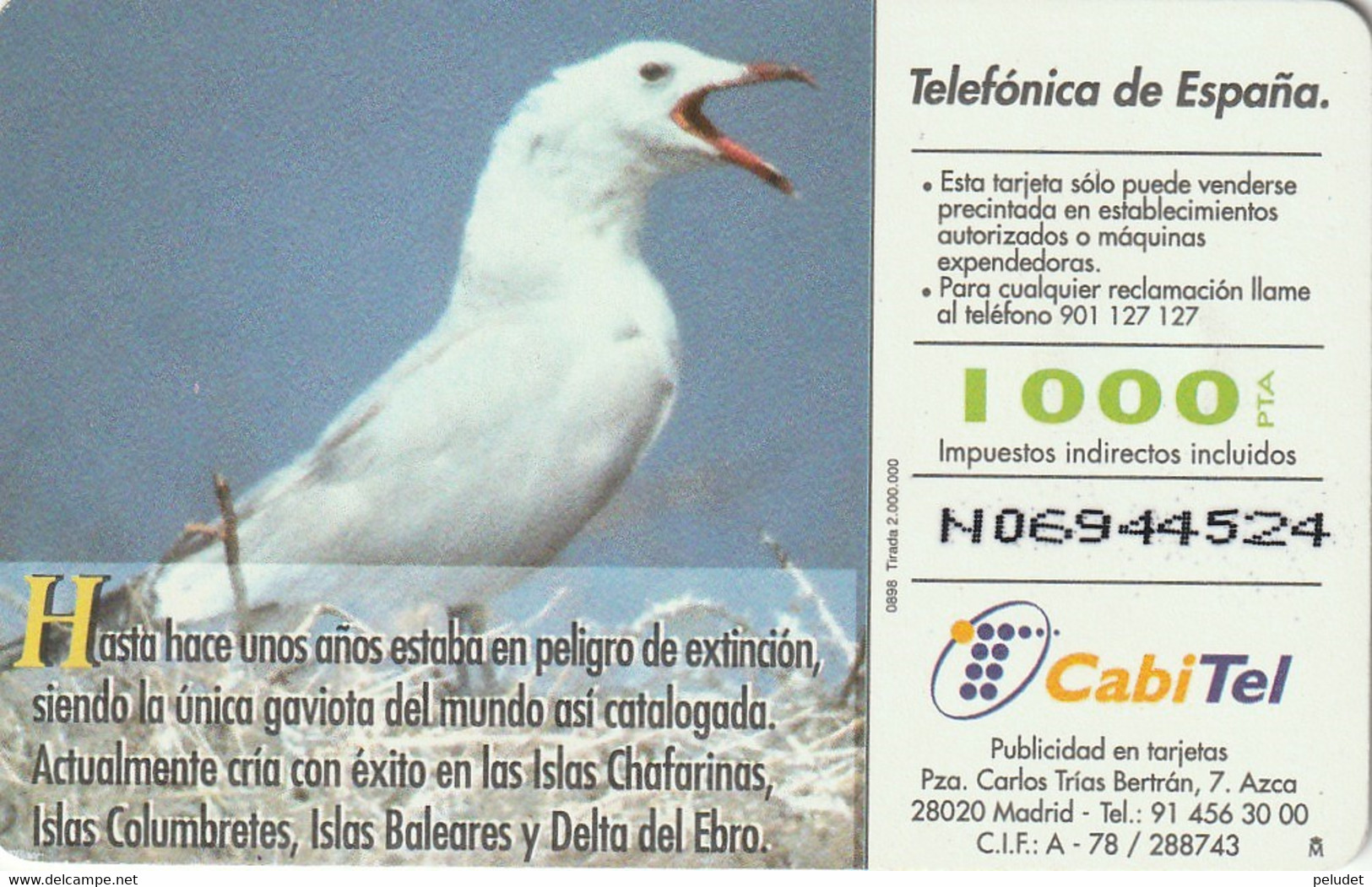 Spain, Espagne, Telefonica Fauna Iberica Gaviota De Audouin - Otros & Sin Clasificación