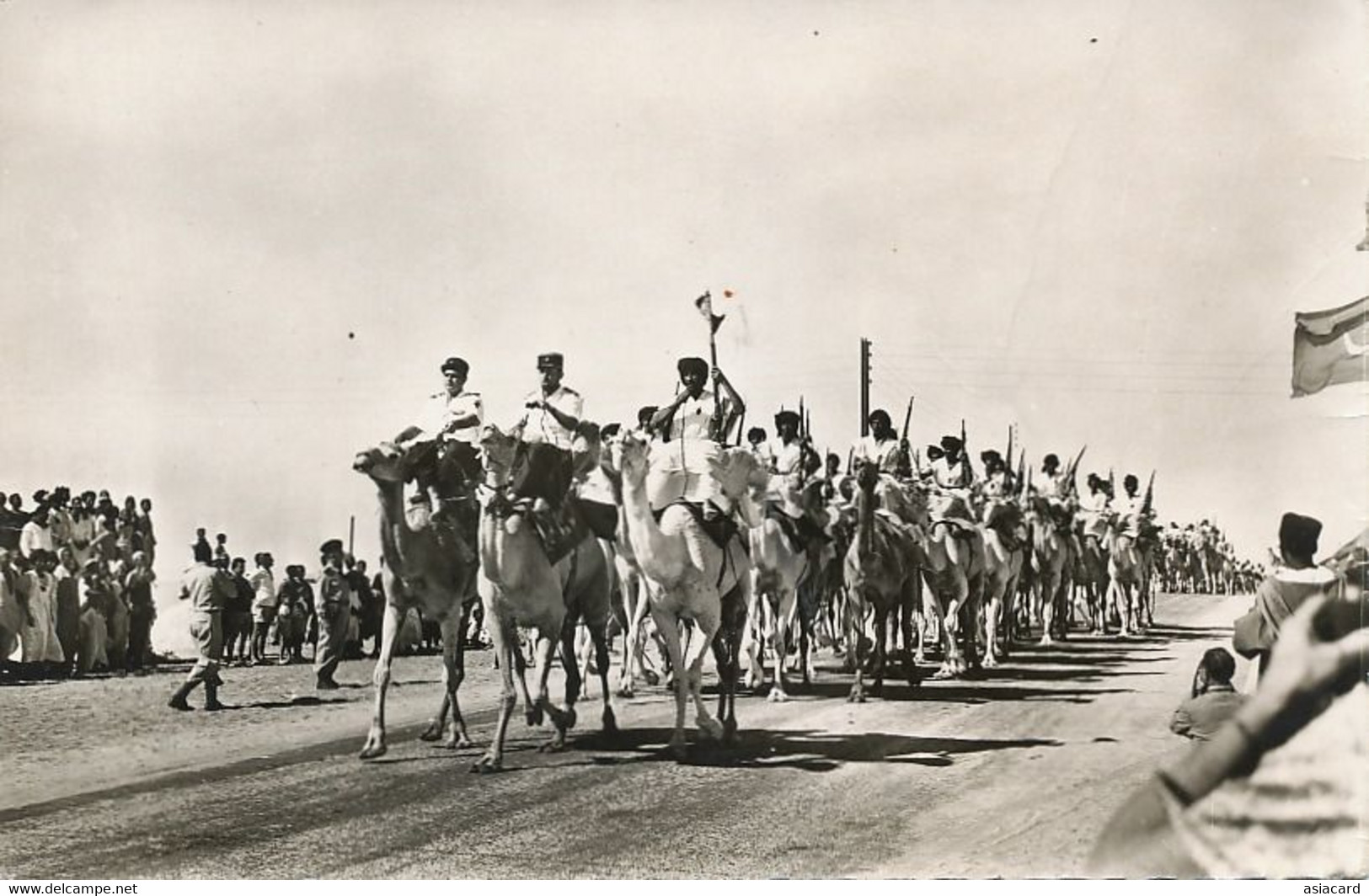 Real Photo Souvenir Mauritanie Caravane Chameaux Camel Caravan Meharistes Mehari French Officers - Mauritanie