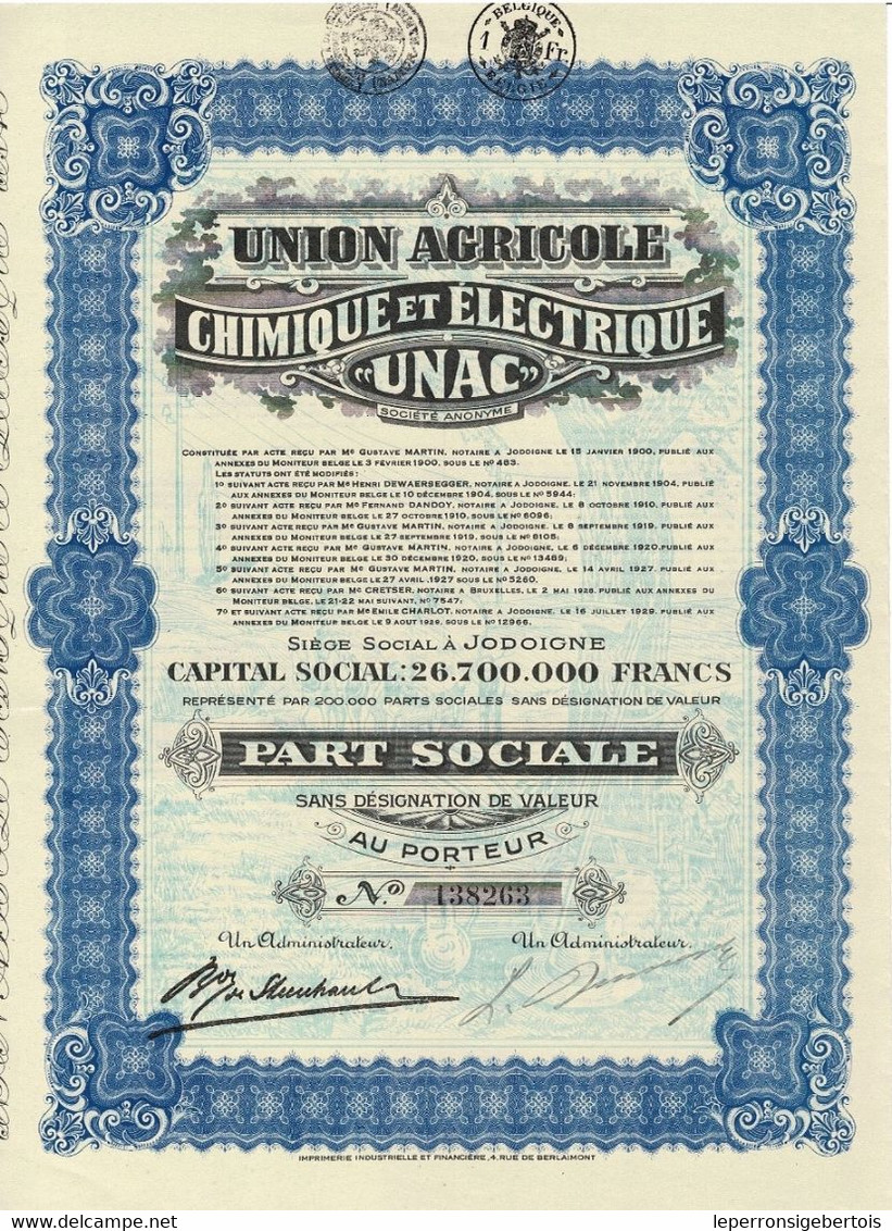 -  Titre De 1929 -  Union Agricole Chimique Et Electrique - UNAC - Jodoigne - Agriculture