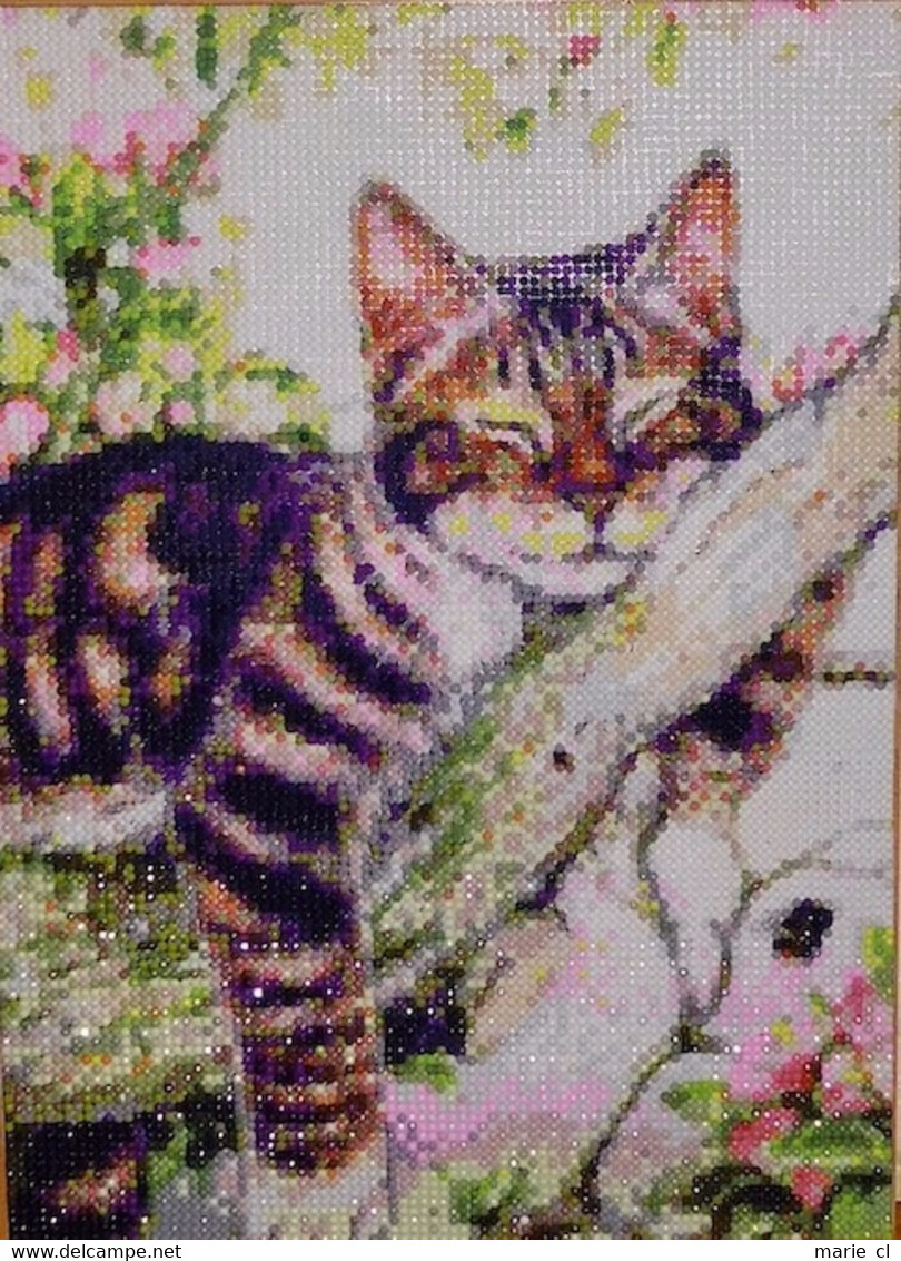 Tableau Perles ( Diamond Painting) : Chat Endormi - Perles