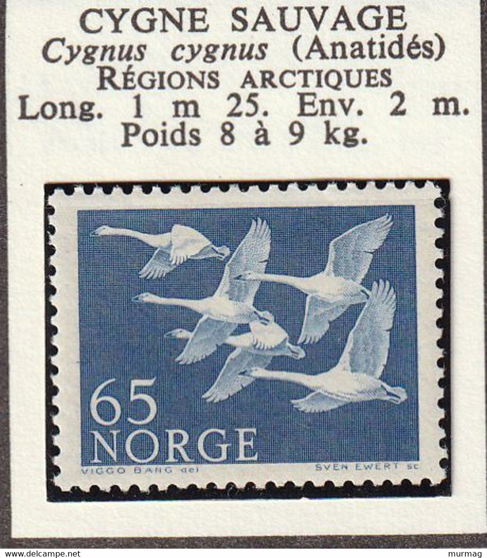 NORVEGE - Faune, Cygne Sauvage - 1956 - MH-oblitéré - Autres & Non Classés