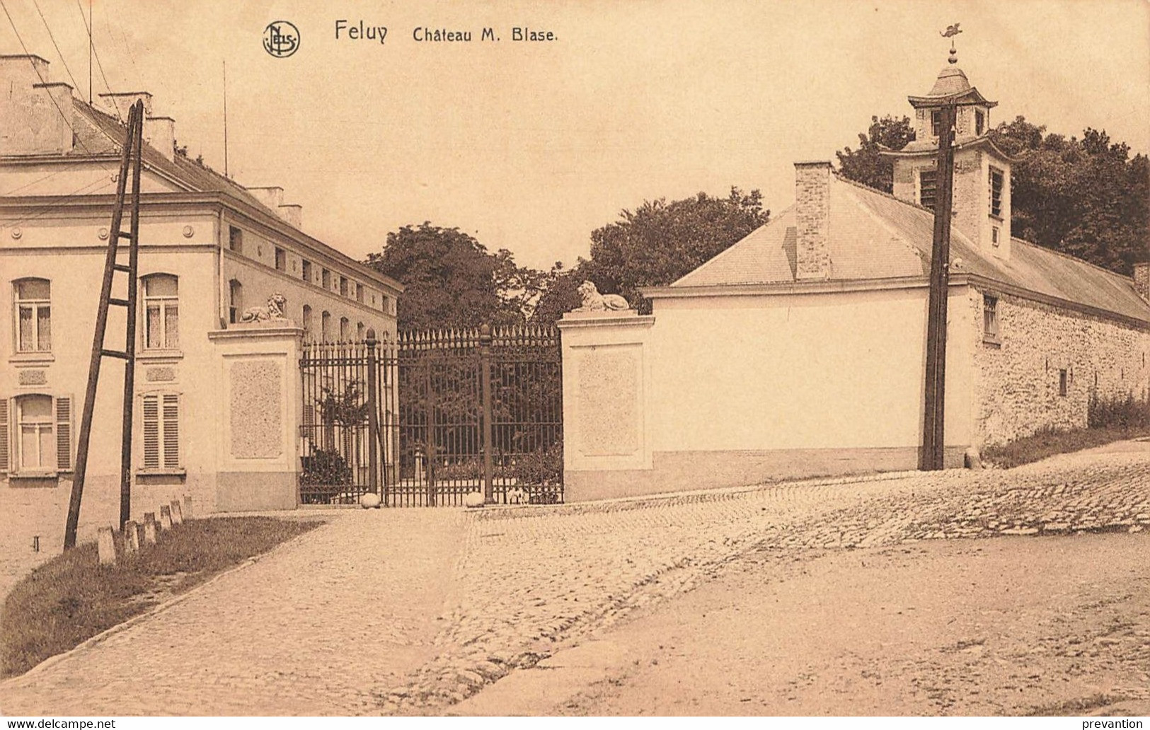 FELUY - Château M. Blase - Seneffe