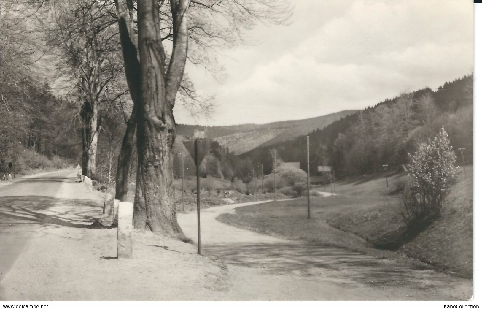 DDR, Zella-Mehlis, Thüringen, Lubenbachtal, Waldmühle Oberhofer Straße, Gelaufen 1973 - Zella-Mehlis