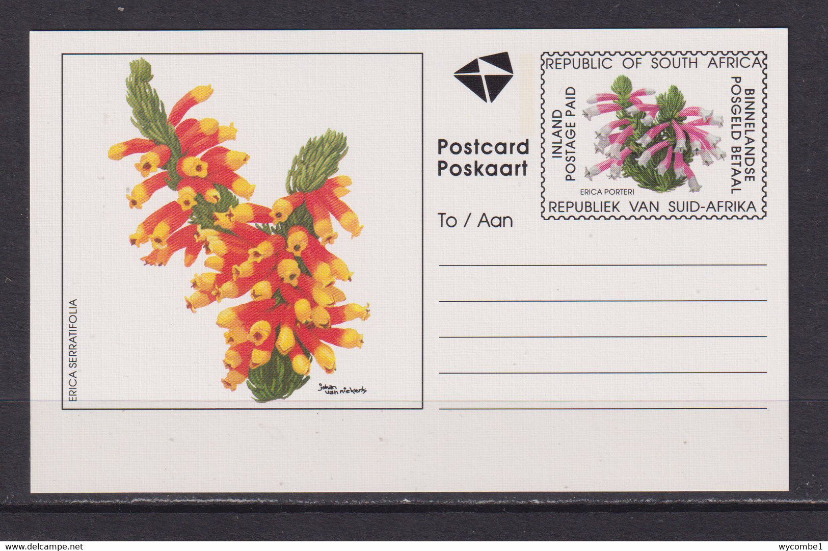 SOUTH AFRICA - 1995 Flowers Pre-Paid Postcard As Scan - Cartas & Documentos