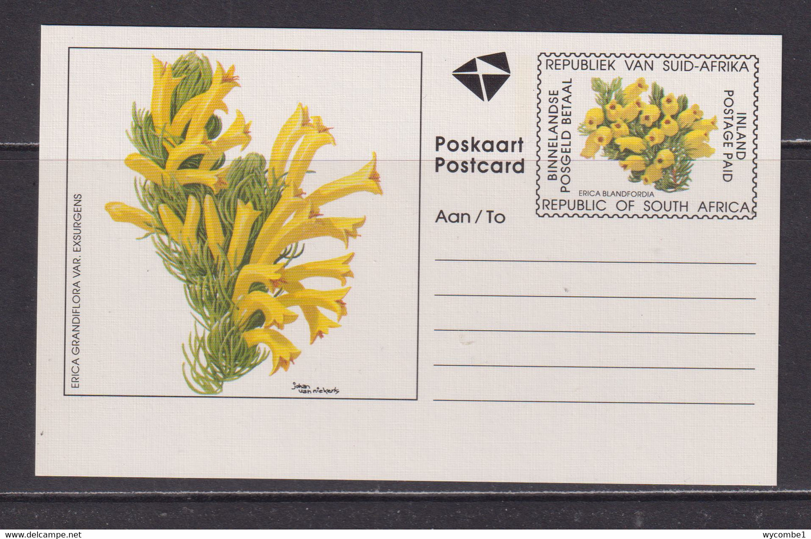 SOUTH AFRICA - 1995 Flowers Pre-Paid Postcard As Scan - Cartas & Documentos