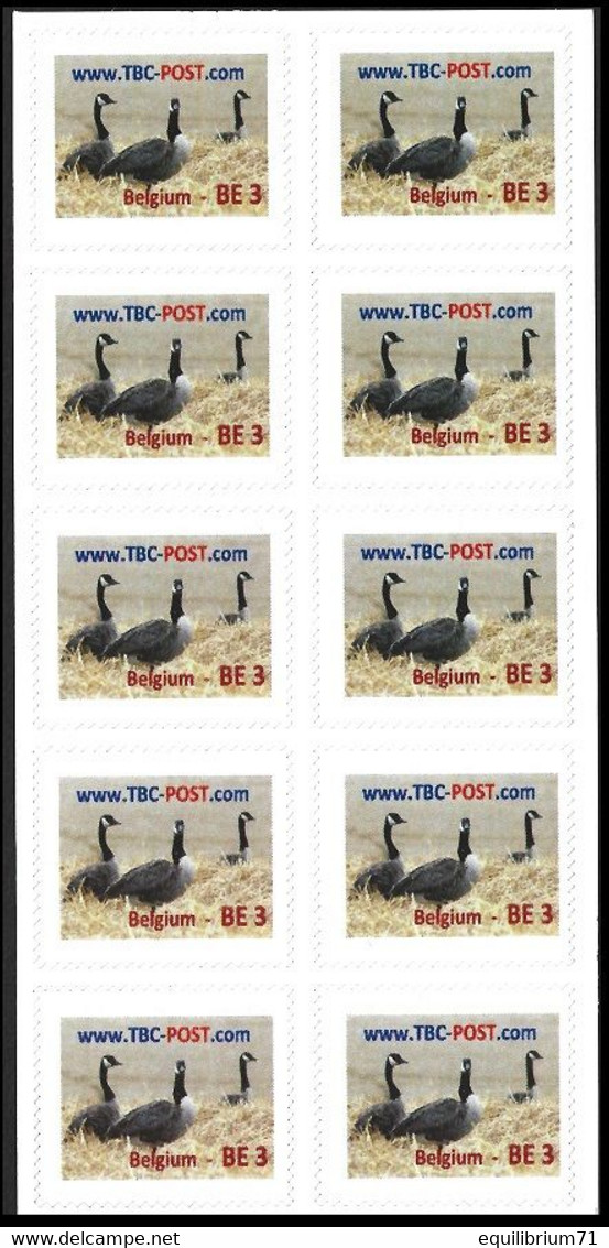 TBC POST - F42 BE-3** - Trois Oies Sauvages / Drie Wilde Ganzen / Drei Wildgänse - 07/11/2012 - Poste Privée/Privé-Post - Oies