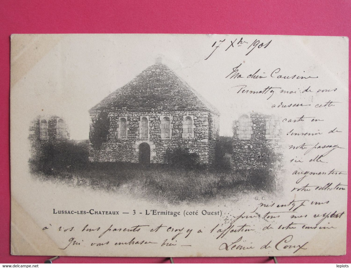 Visuel Pas Très Courant - 86 - Lussac Les Châteaux - L'Ermitage Côté Ouest - CPA Précurseur 1901 - R/verso - Lussac Les Chateaux