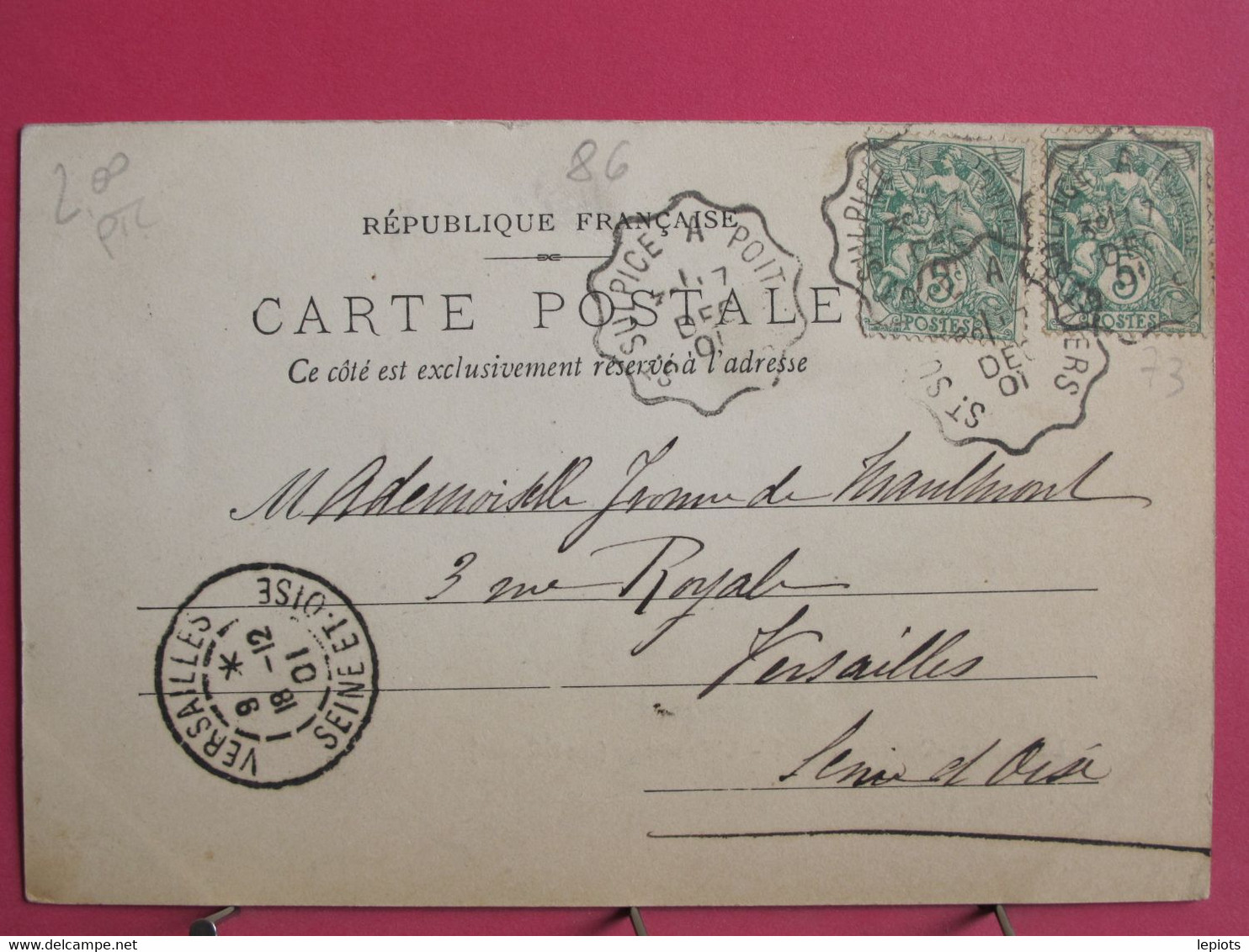 Visuel Pas Très Courant - 86 - Lussac Les Châteaux - L'Ermitage Côté Ouest - CPA Précurseur 1901 - R/verso - Lussac Les Chateaux