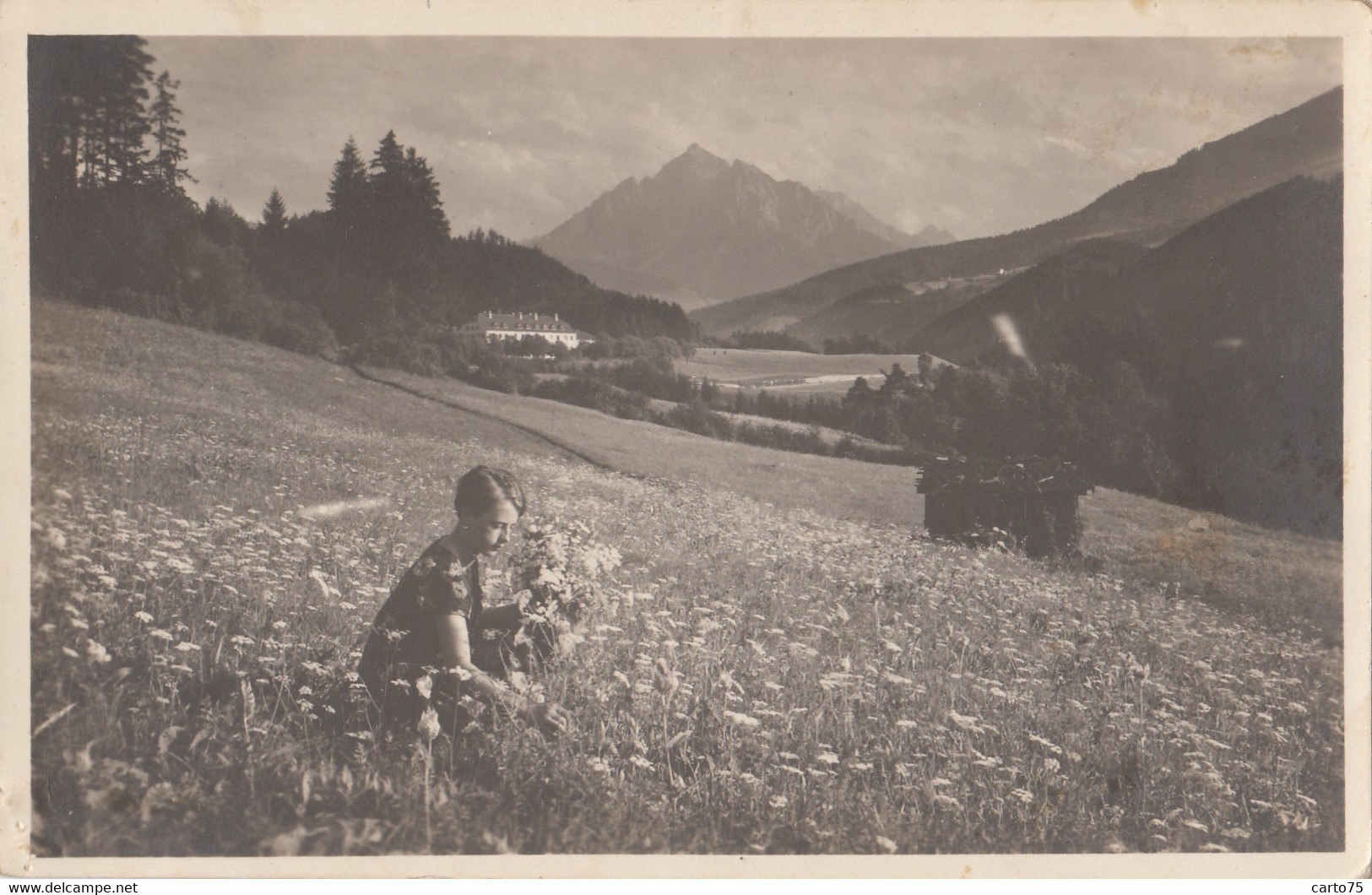 Autriche - Carte-photo - Environs D'Innsbruck - Fillette Cueillant Des Fleurs - Château - Lieu à Situer - Innsbruck