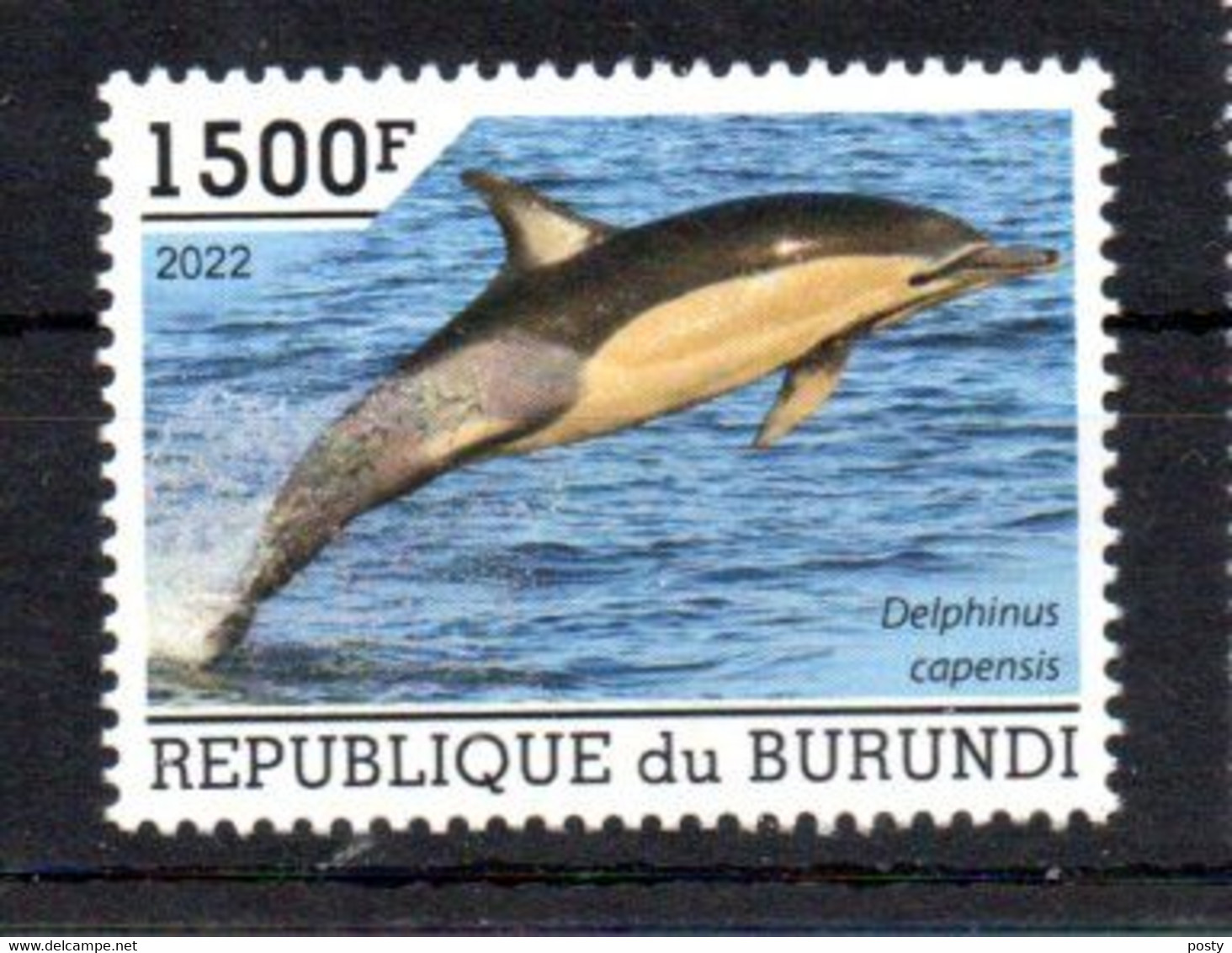 BURUNDI - 2022 - POISSONS - FISH - DAUPHIN - DOLPHIN - DELPHINUS CAPENSIS - 1500F - - Nuevos