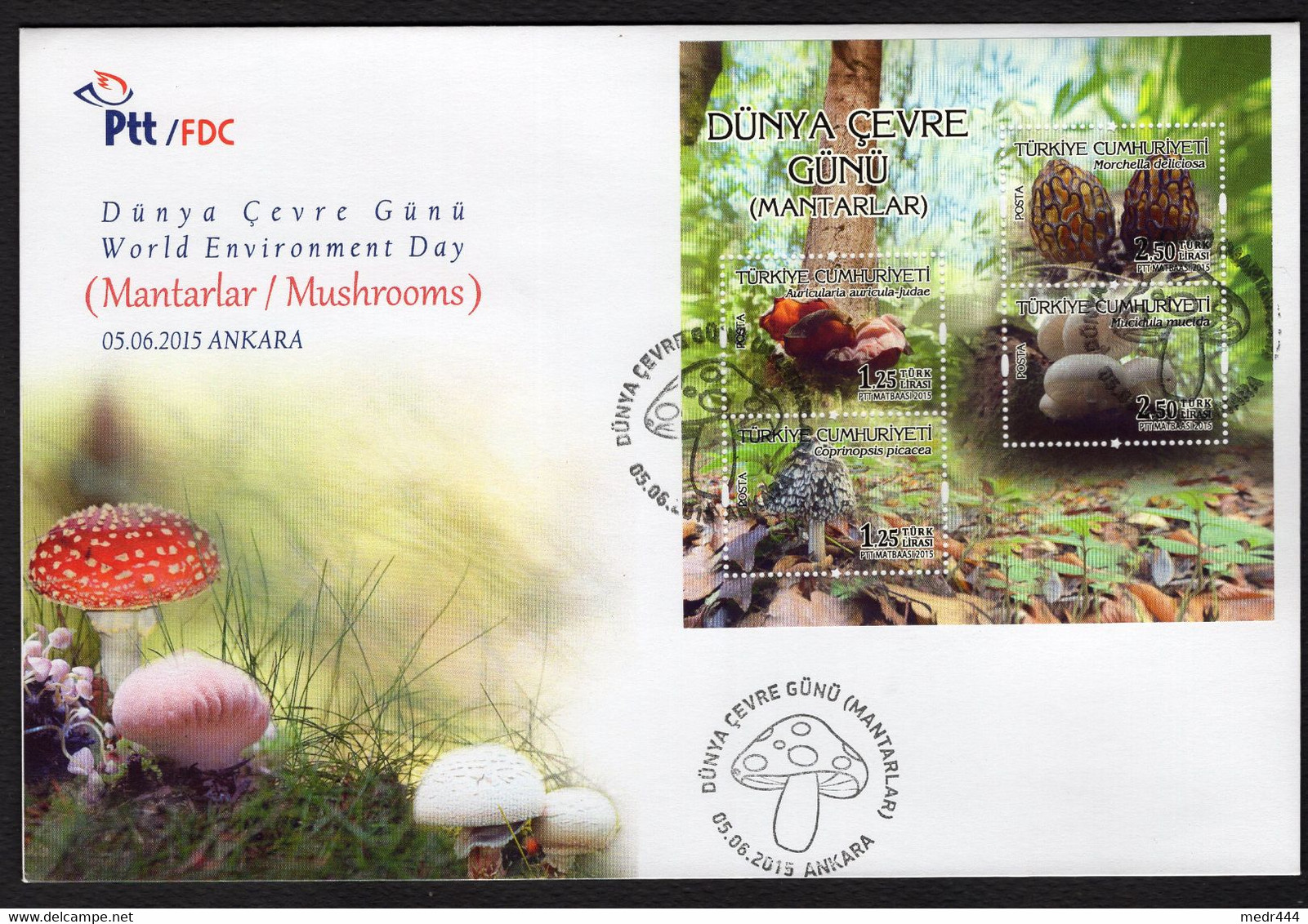 Turkey/Turquie 2015 - Mushrooms/Mantarlar - FDC - Excellent Quality ** - Superb*** - Lettres & Documents