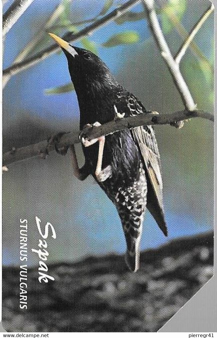 CARTE-MAGNETIQUE-POLOGNE-ETOURNEAU-STURNUS VULGARIS-Utilisé-TBE- - Sperlingsvögel & Singvögel