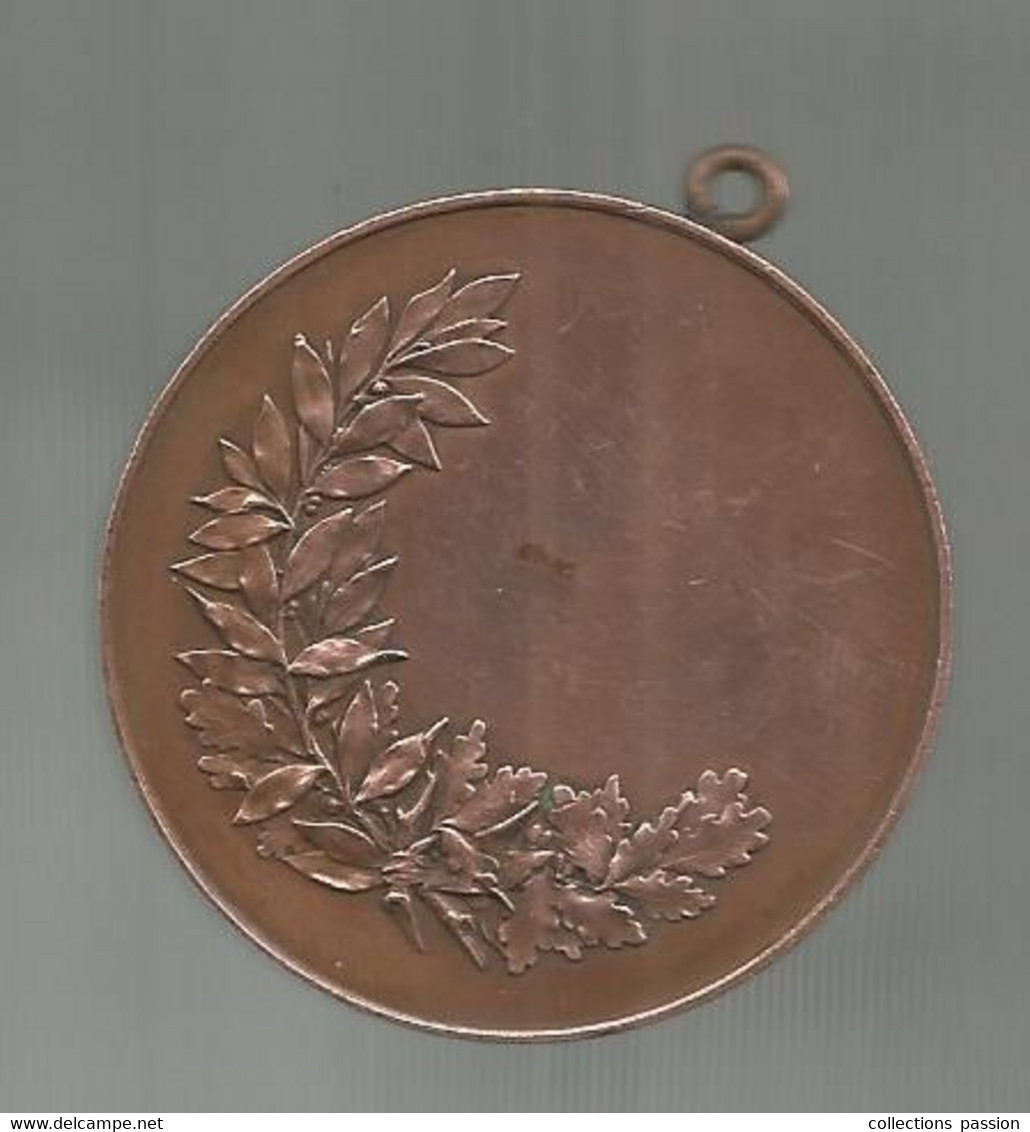 Médaille , SOCIETES COLOMBOPHILES ,non Attribuée , 49 Gr. ,dia . 48 Mm ,frais Fr 3.35 E - Profesionales / De Sociedad