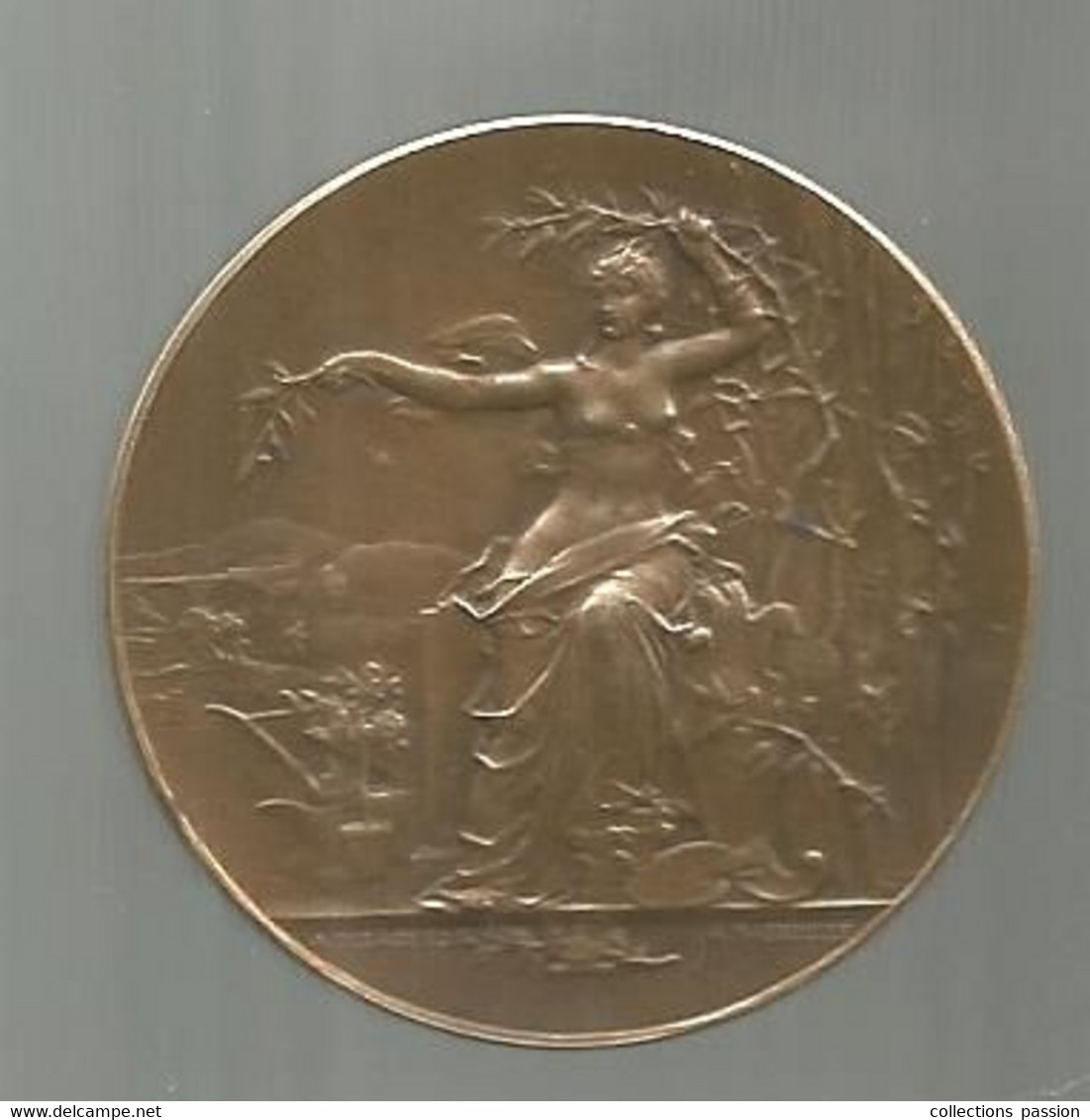 Médaille , Bronze , Graveur : A. Massoulle , A. Desaide Edit. ,non Attribuée , 33 Gr. ,dia . 42 Mm , Frais Fr 3.35 E - Professionals/Firms