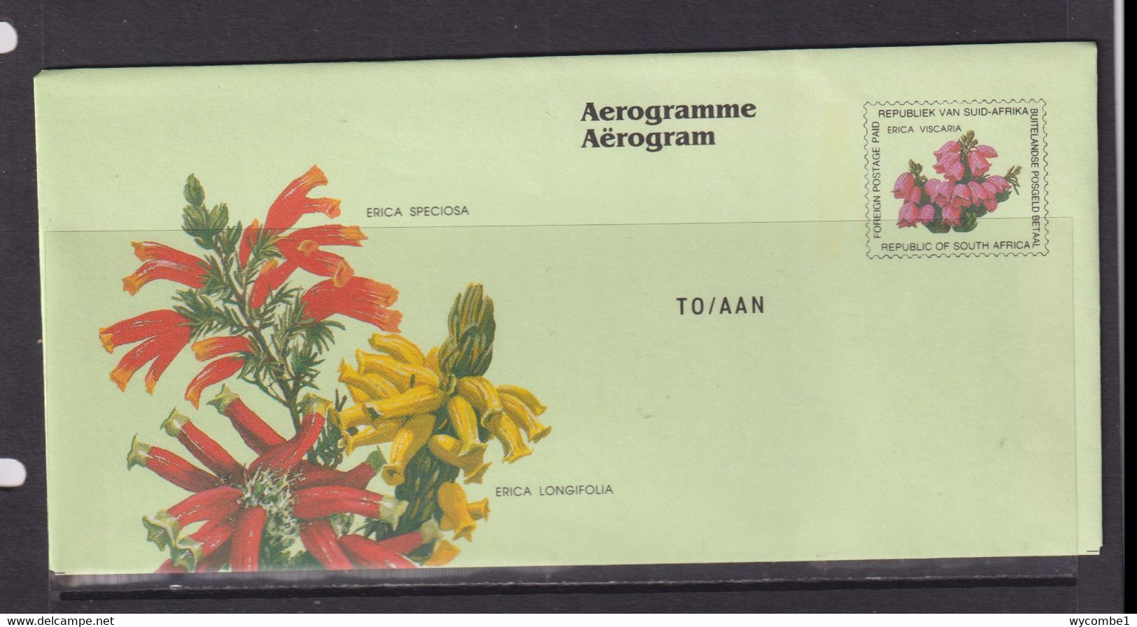 SOUTH AFRICA - 1995 Flower Aerogramme - Lettres & Documents