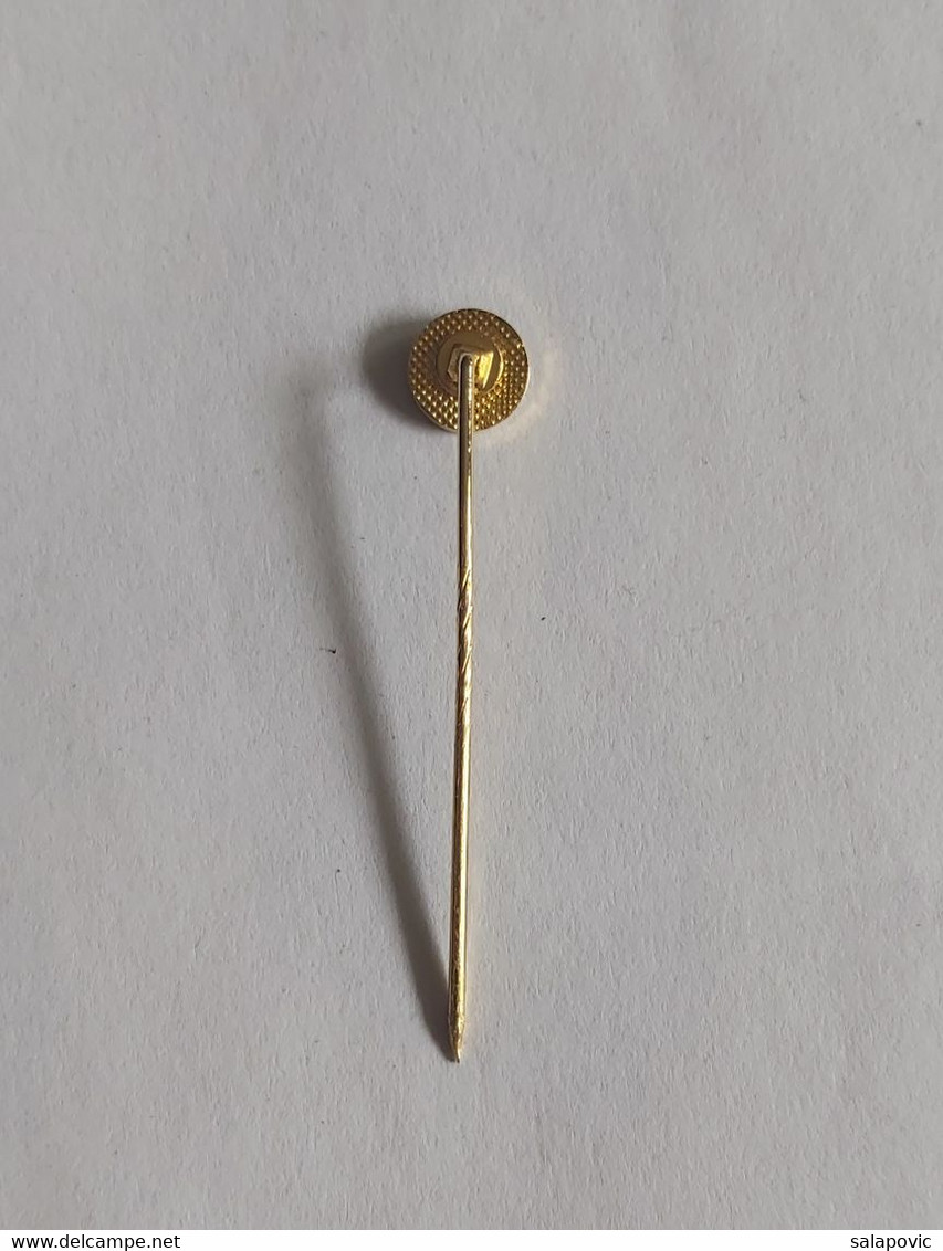 Deutscher Bogensport-Verband Germany Archery Association 1959 EV (DBSV)  PIN A8/6 - Tir à L'Arc