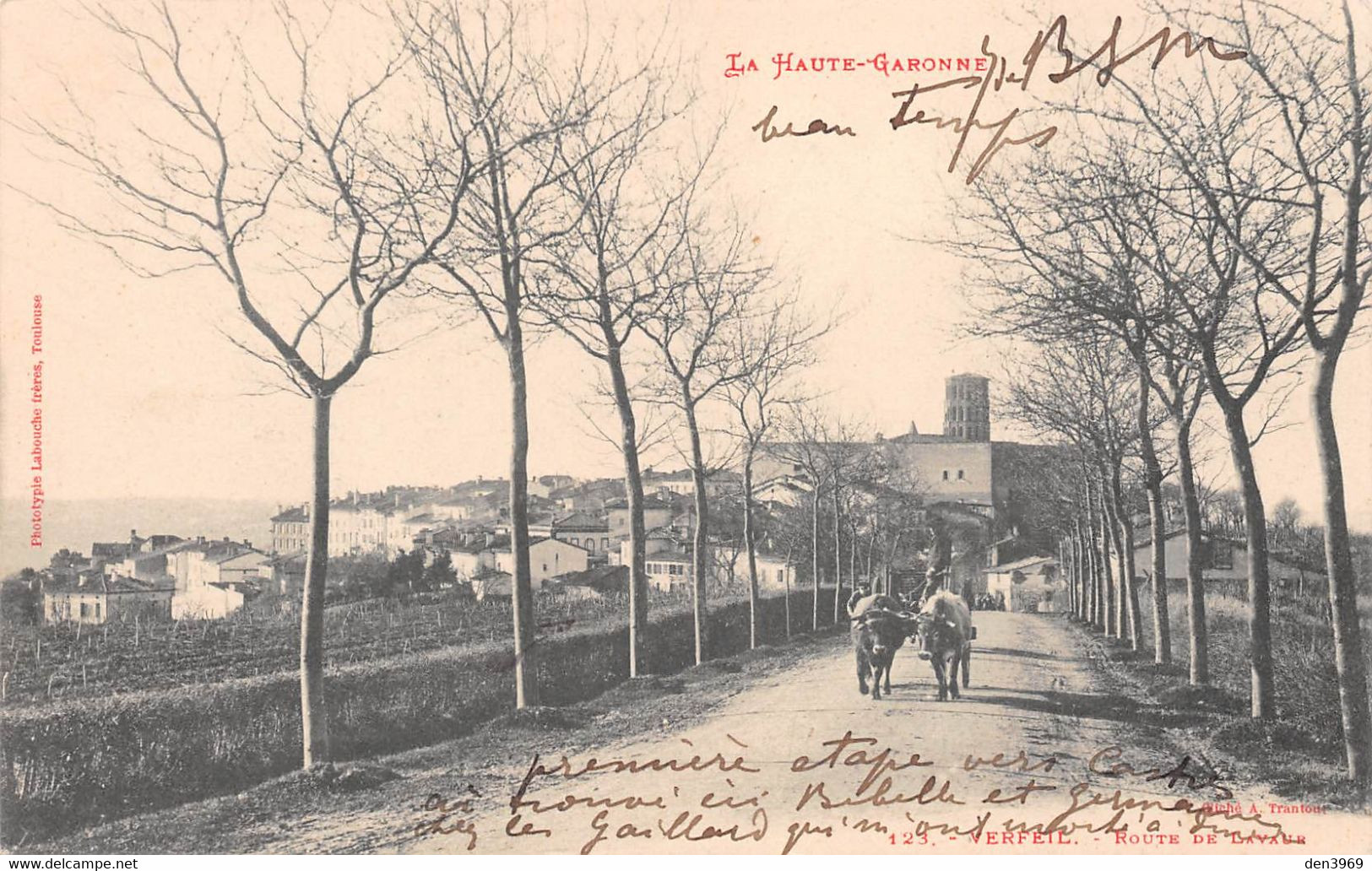 VERFEIL (Haute-Garonne) - Route De Lavaur - Attelage De Boeufs - Précurseur Voyagé 1903 - Verfeil