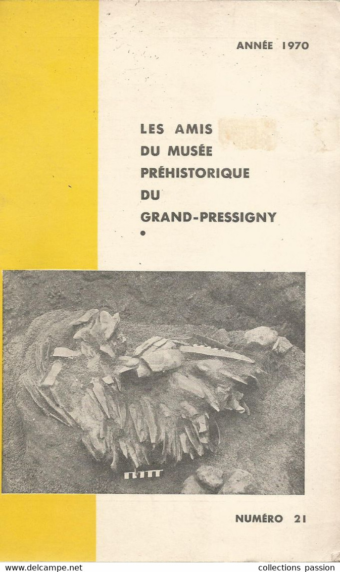 Archéologie, LES AMIS DU MUSEE PREHISTORIQUE DU GRAND-PRESSIGNY, N° 21, 1970, Frais Fr 6.15 E - Archéologie