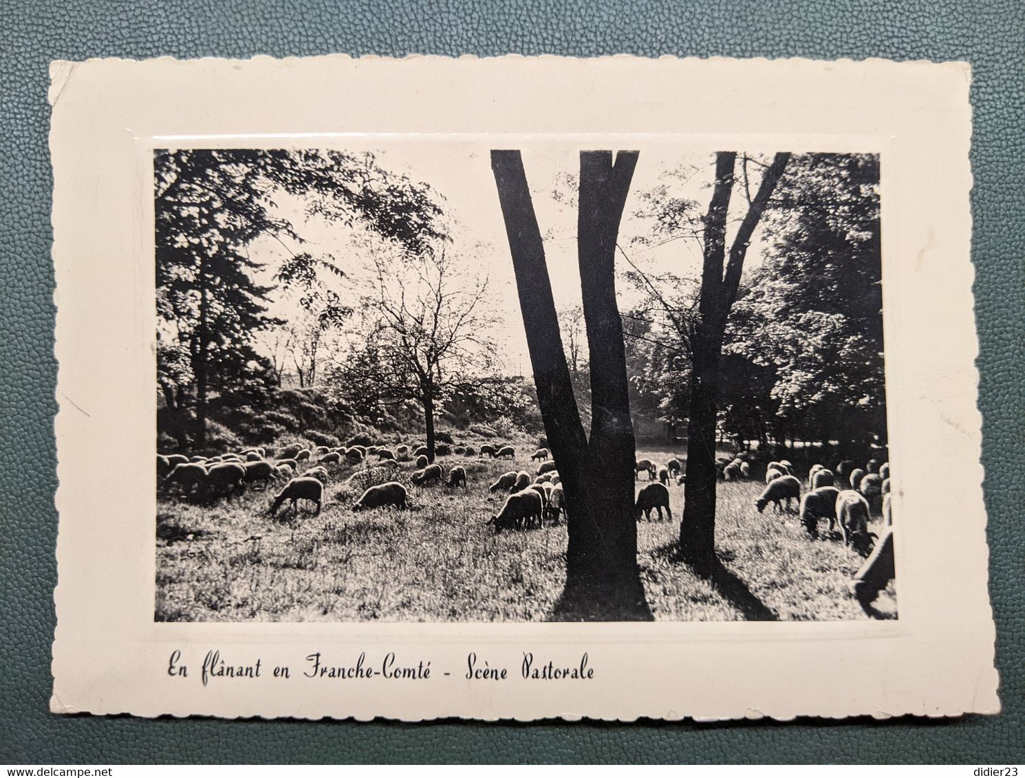 FRANCHE COMTE TROUPEAU DE MOUTONS BERGER SCENE PASTORALE - Franche-Comté