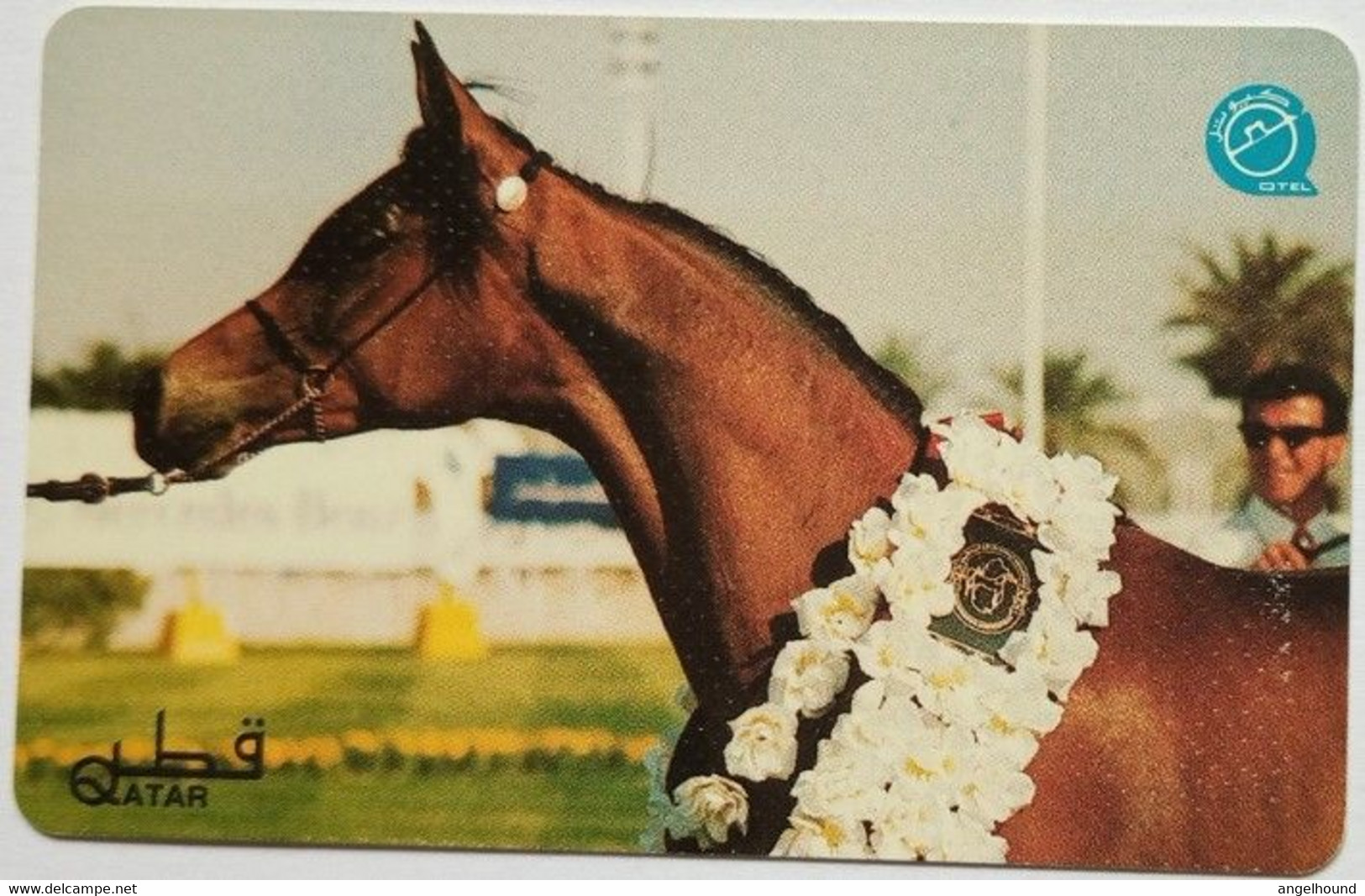 Qatar QR.50 " Head Of Prize Winner " ( Horse) - Qatar