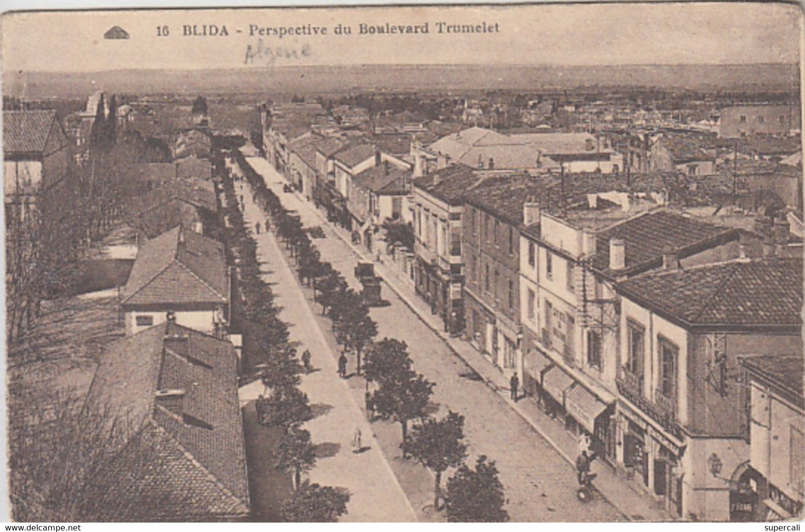 RT29.594 ALGERIE .BLIDA.BOULEVARD TRUMELET.N° 18 C.A.P. - Blida