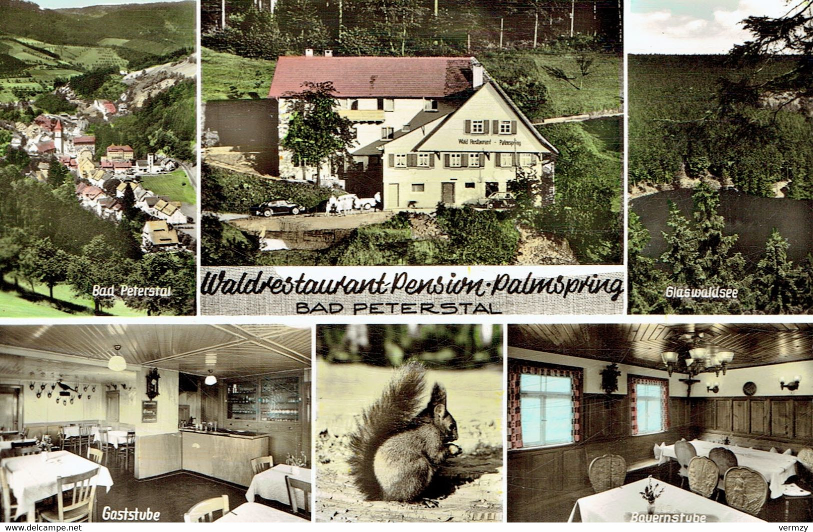 CPSM  BAD PETERSTAL : Waldrestaurant Palmspring  - Photo Véritable - Bad Peterstal-Griesbach