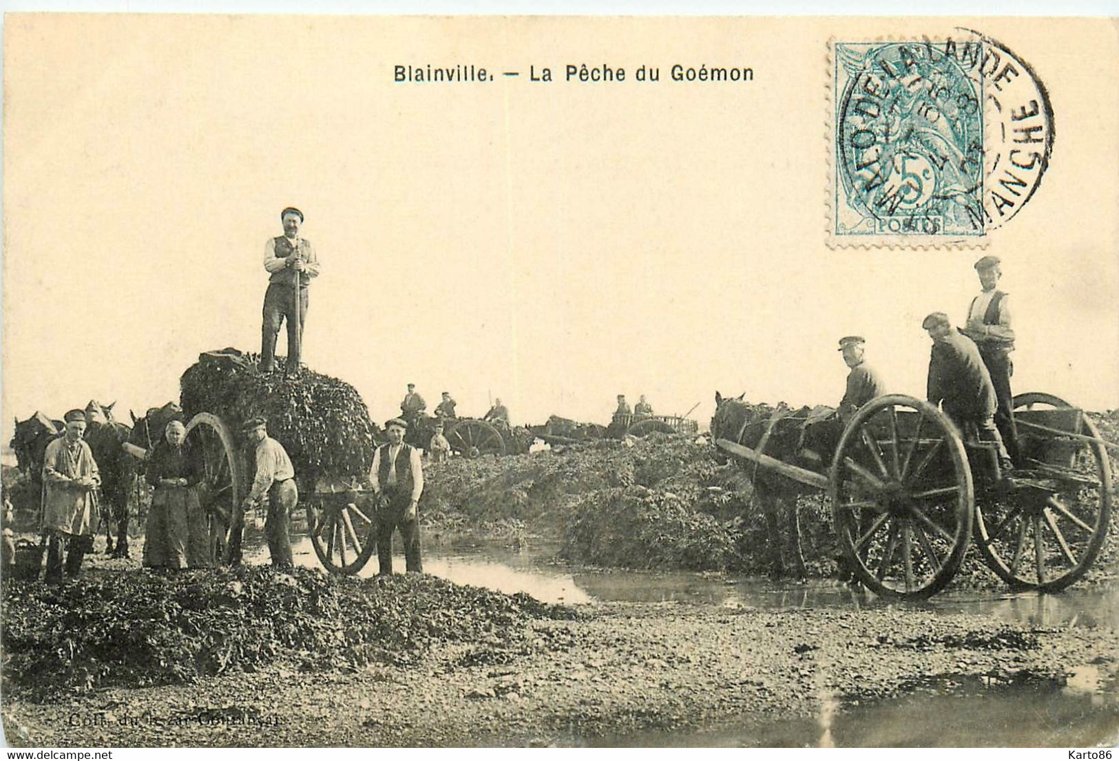 Blainville * La Pêche Au Goémon * Goémoniers Attelage - Blainville Sur Mer