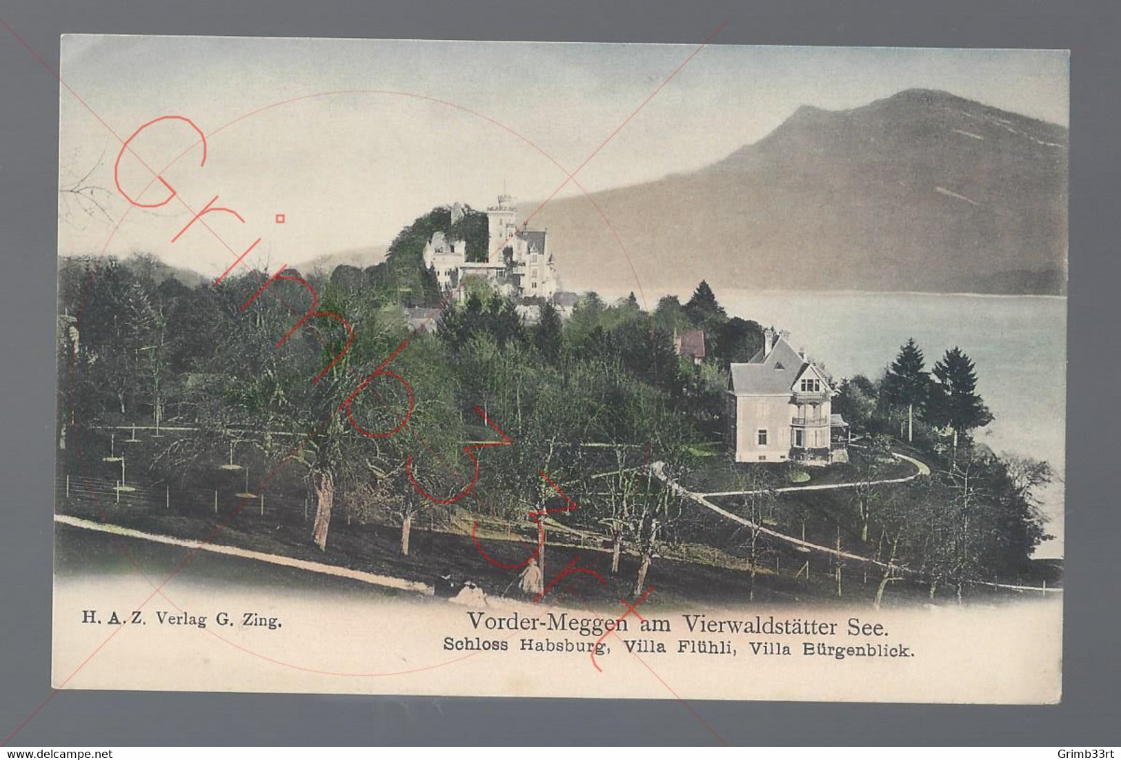 Vorder-Meggen Am Vierwaldstätter See - Schloss Habsburg, Villa Flühli, Villa Bürgenblick - Postkaart - Flühli