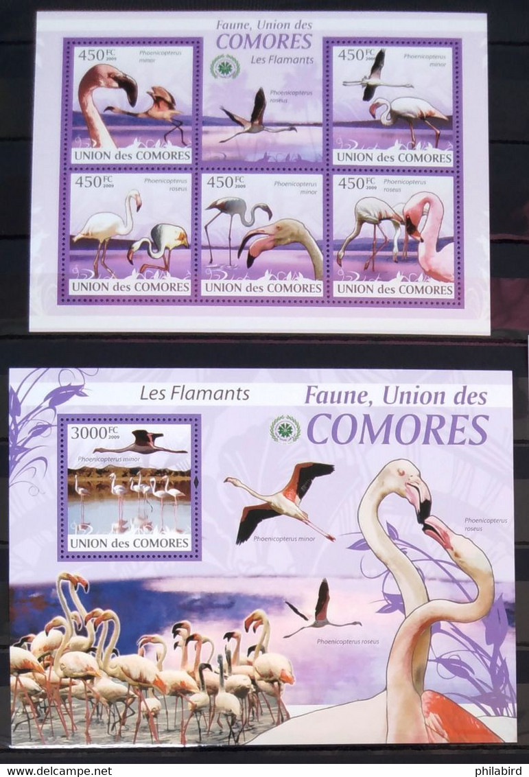 OISEAUX - COMORES                 N° 1711/1715 + BF 209                      NEUF** - Flamingo's