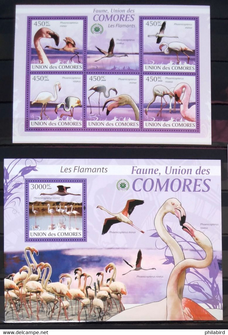 OISEAUX - COMORES                 N° 1711/1715 + BF 209                      NEUF** - Flamants