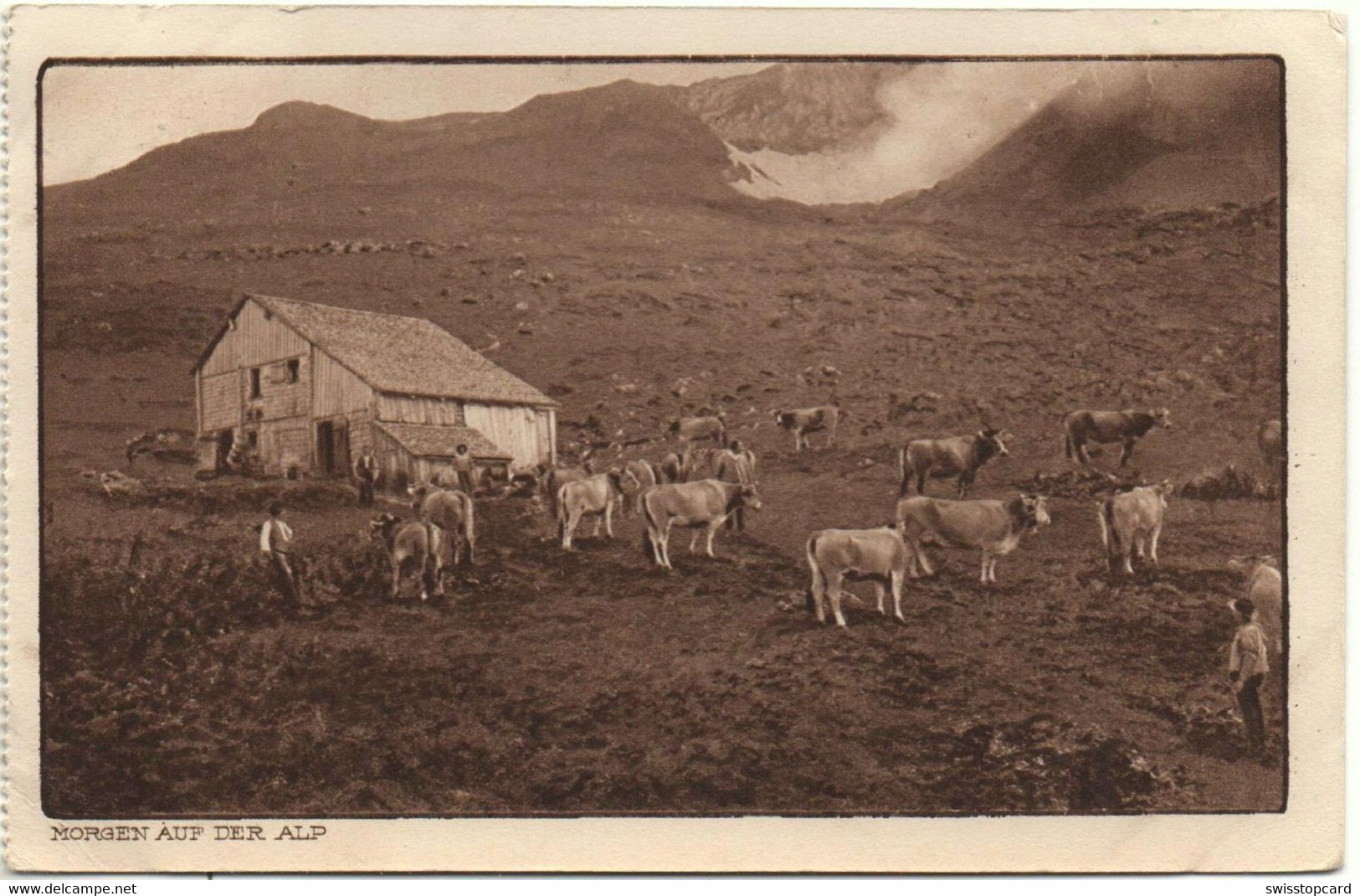 MORGEN AUF DER ALP Bauer Mit Kühen Gel. 1919 V. Hombrechtikon - Hombrechtikon