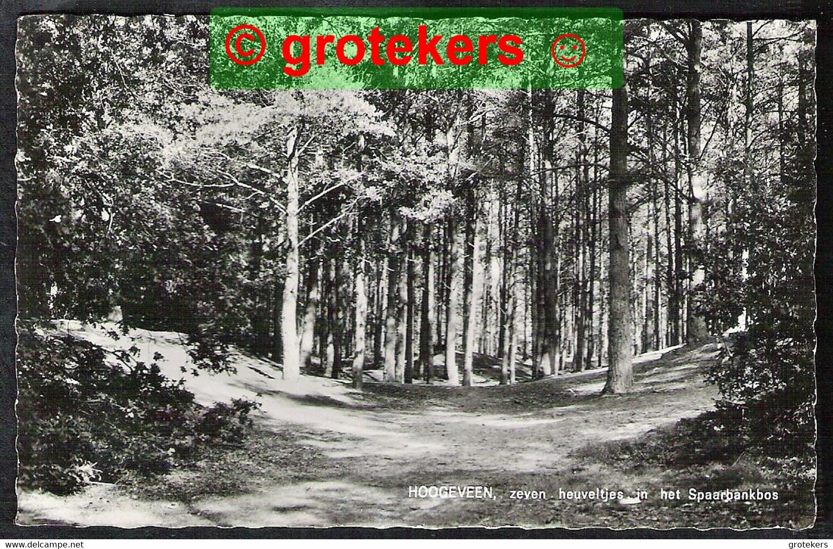 HOOGEVEEN Zeven Heuveltjes In Het Spaarbankbos ± 1966 - Hoogeveen