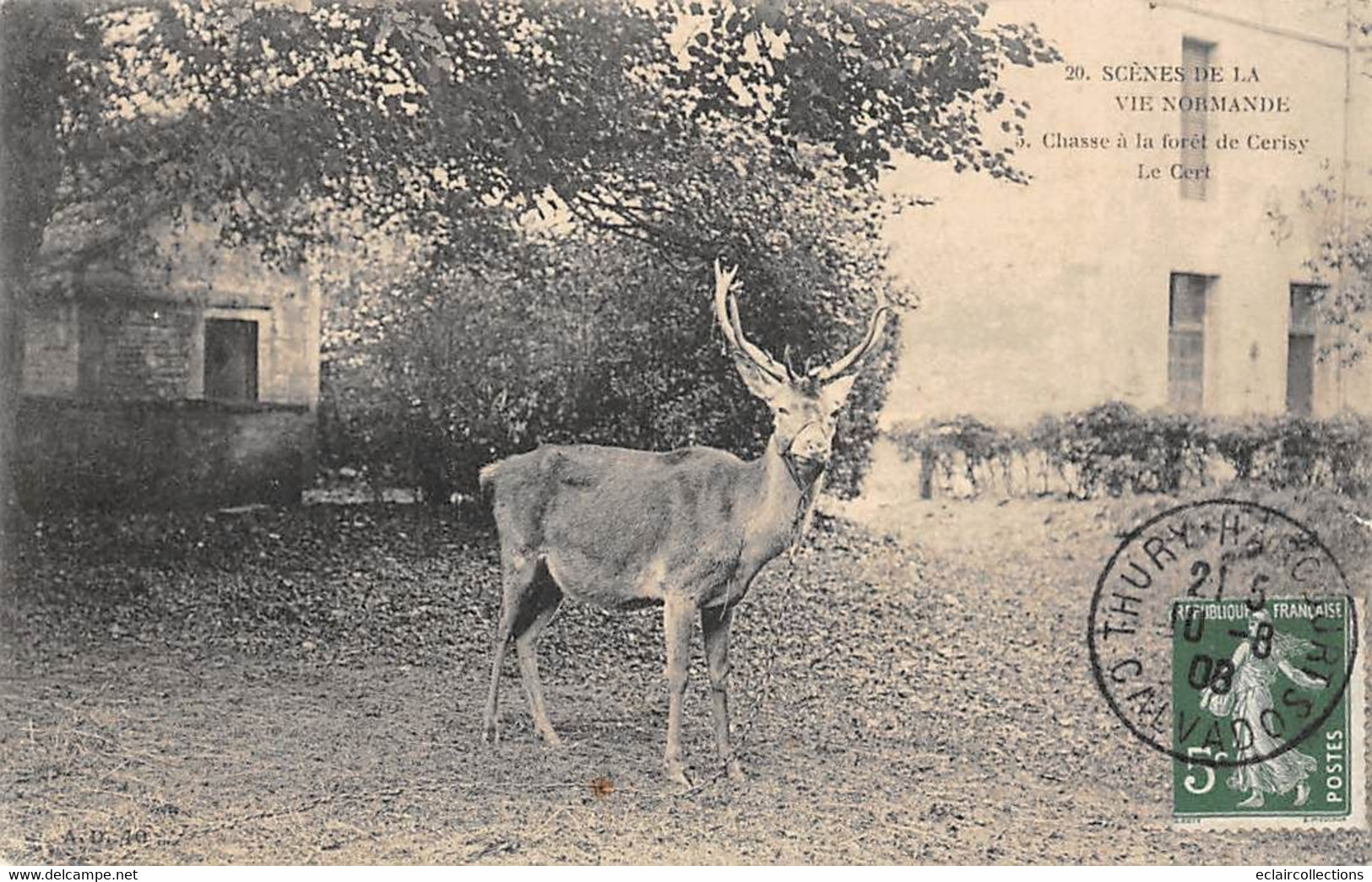 Cerisy        14        Rendez Vous De Chasse A Courre  . Le Cerf          (voir Scan) - Sonstige & Ohne Zuordnung