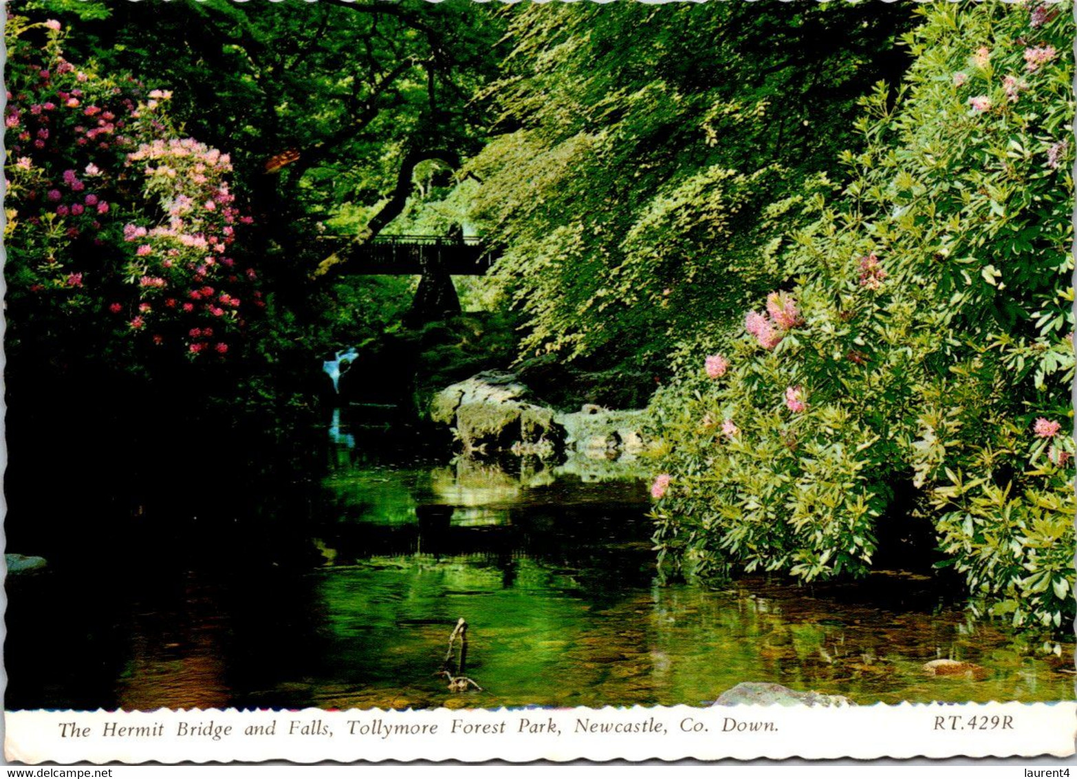 (1 G 17) UK - Northern Ireland - Hermit Bridge - Co Down  (posted 1980) - Down