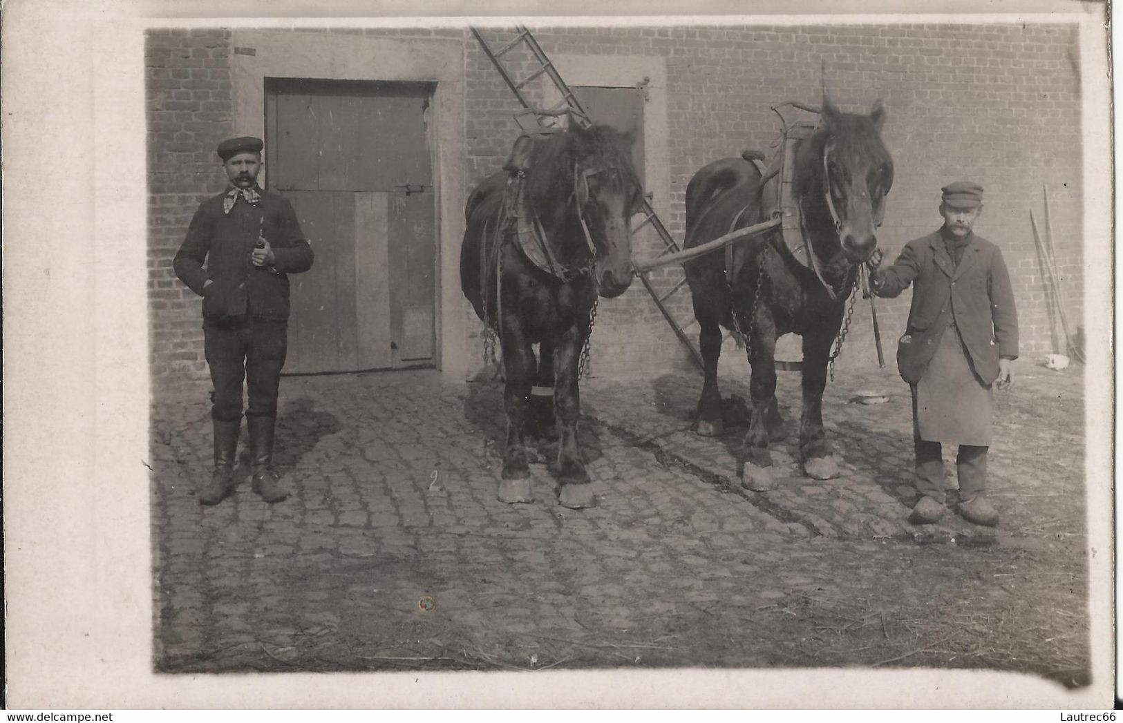 JAUCHE, Carte-photo - Ferme Paheau Avec Charles Paheau Et Frédéric Clairembourg, Mars 1909, Chevaux De Trait - Orp-Jauche