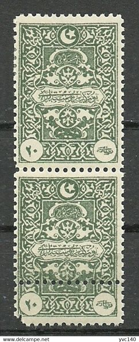 Turkey; 1922 Genoa Printing Postage Due Stamp 20 P. ERROR "Double Perf." - Unused Stamps