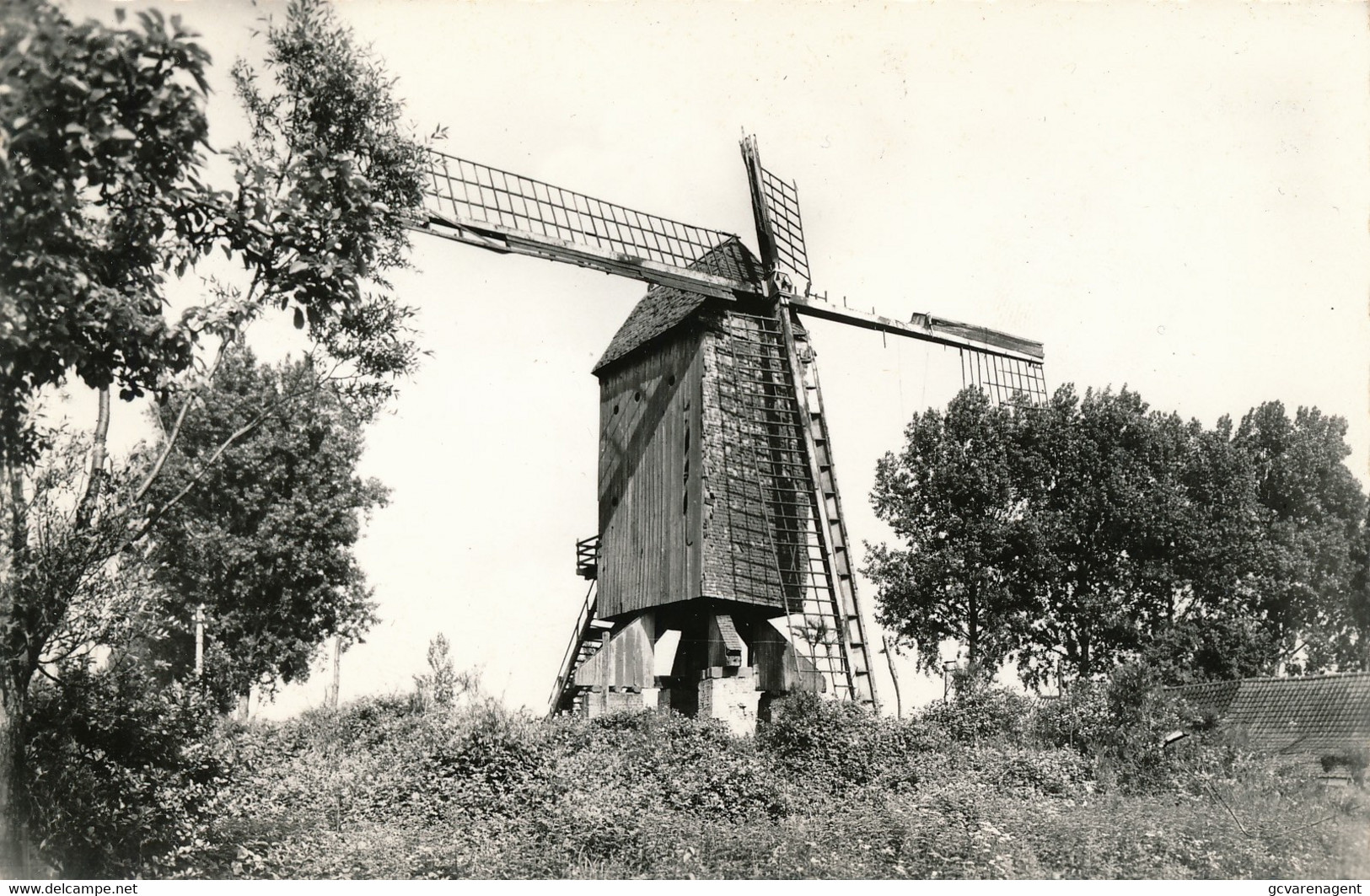 LEMBEKE   DE MOLEN  FOTOKAART        2 SCANS - Kaprijke