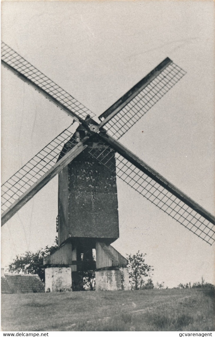 LEMBEKE   MOLEN ( VVV WARANDE LEMBEKE ) FOTOKAART       2 SCANS - Kaprijke