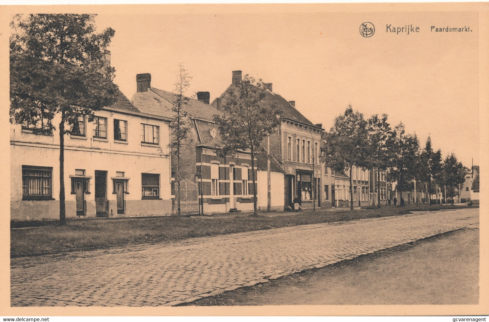 KAPRIJKE  PAARDEMARKT   2 SCANS - Kaprijke