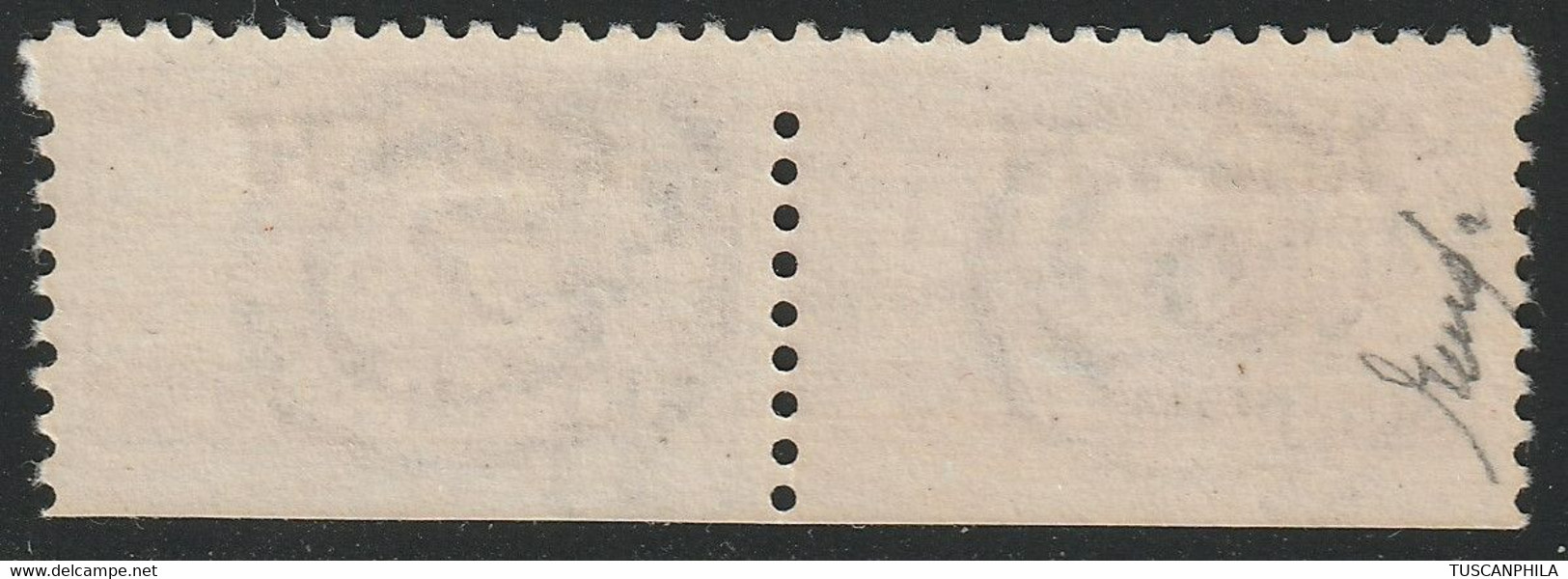 Pacchi Postali 20 L. Sass 19 VAR MNH** - Paketmarken/Konzessionen