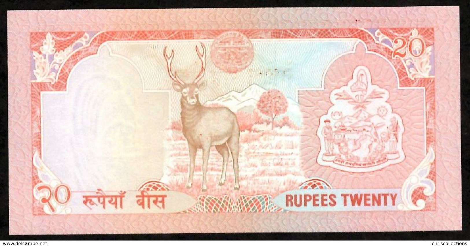 NEPAL - Lot De 4 Billets NEPAL - UNC - Népal