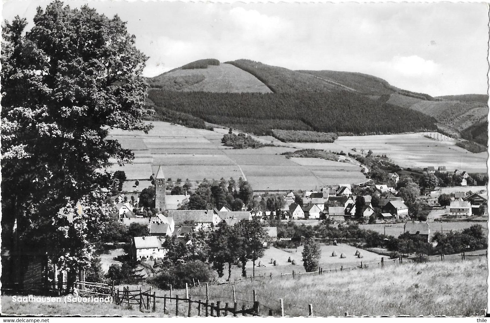 SAALHAUSEN - Sauerland - 1954 - Lennestadt