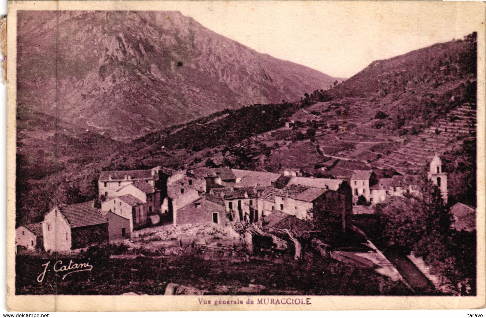 CORSE - MURACCIOLE Près De Vivario / Vizzavona -  Vue Générale - Photo J. Catani - Sonstige & Ohne Zuordnung