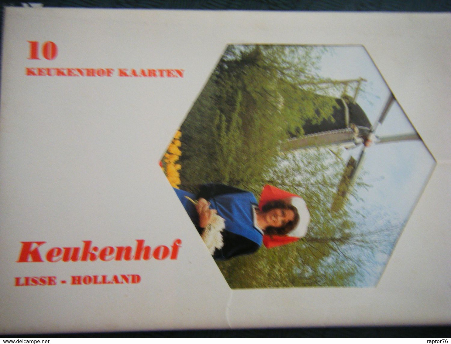 Pays Bas Holland LISSE Carnet De  10 Cartes Postales KEUKENHOF 15,5  X 11 Cm - Lisse